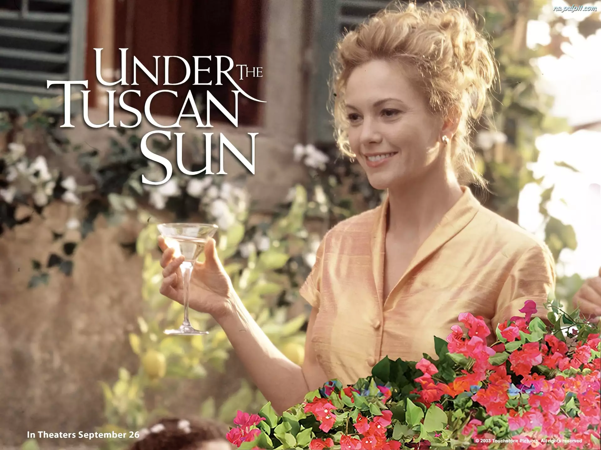 Diane Lane, Under The Tuscan Sun