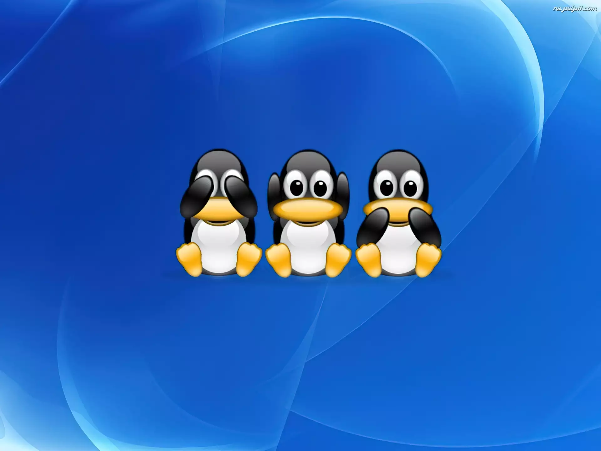 pingwin, Linux, głuchy, grafika, ślepy, niemowa