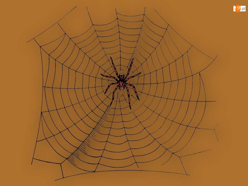 pajęczyna, Halloween, pająk