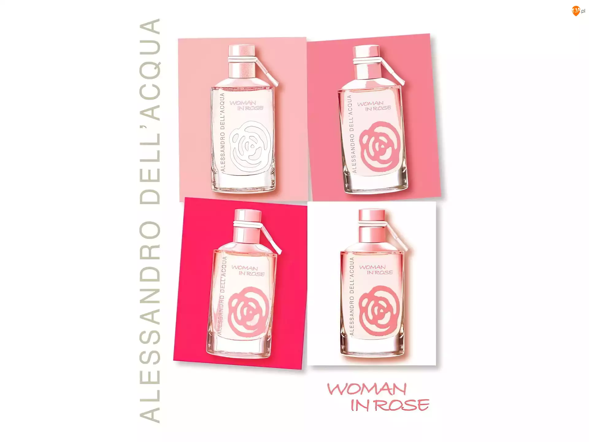 in, perfumy, Alessandro Dellacqua, flakon, woman, rose