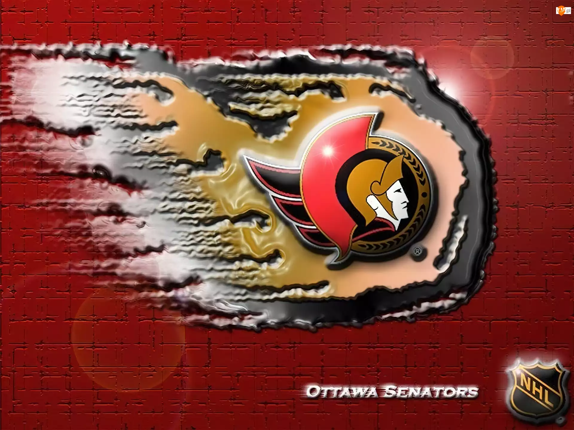 Logo, Ottawa Senators, Drużyny, NHL