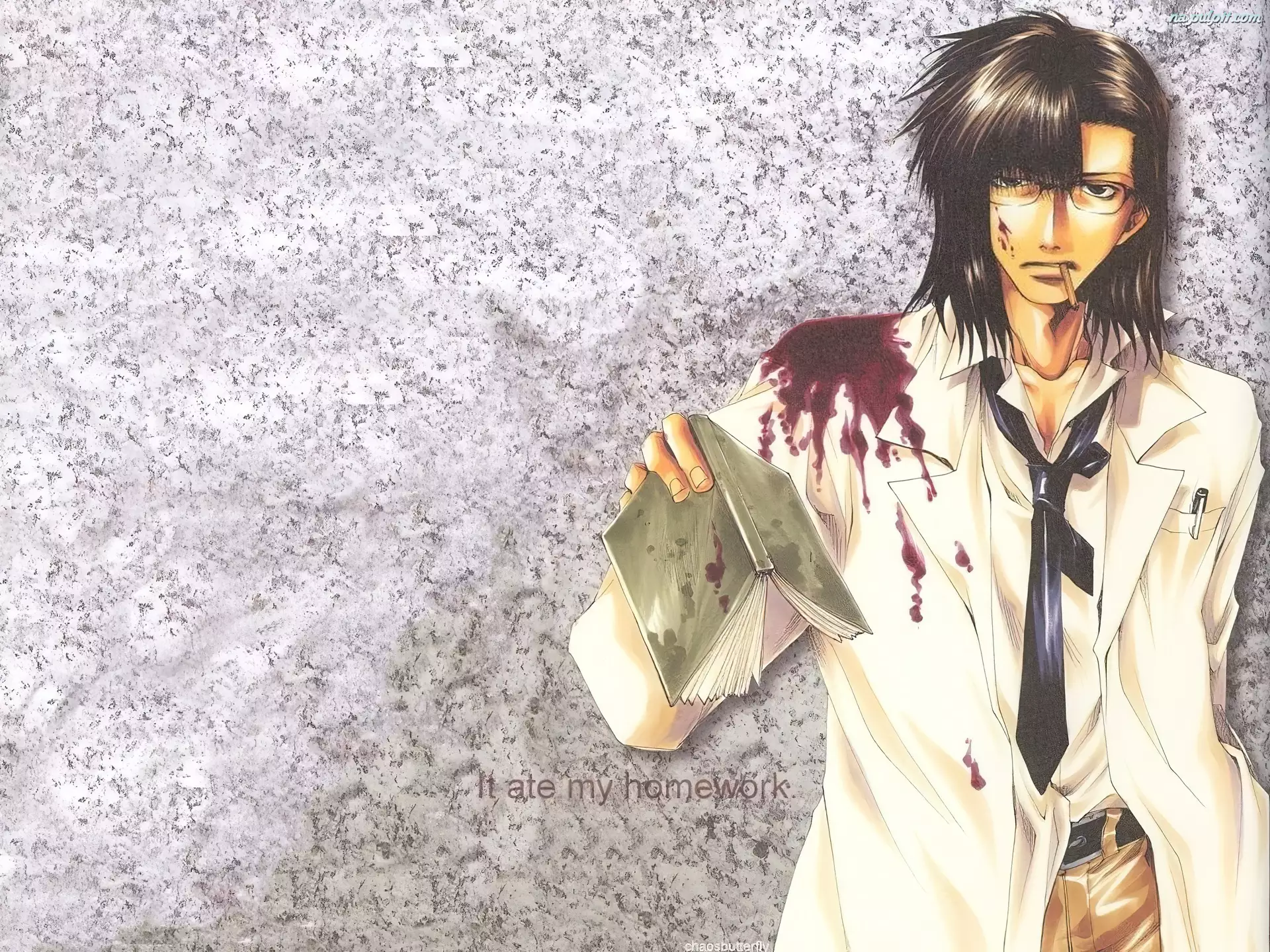 krawat, Saiyuki, krew, książka
