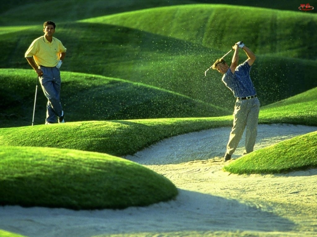 golfiści, Sportowe Golf, pole golfowe