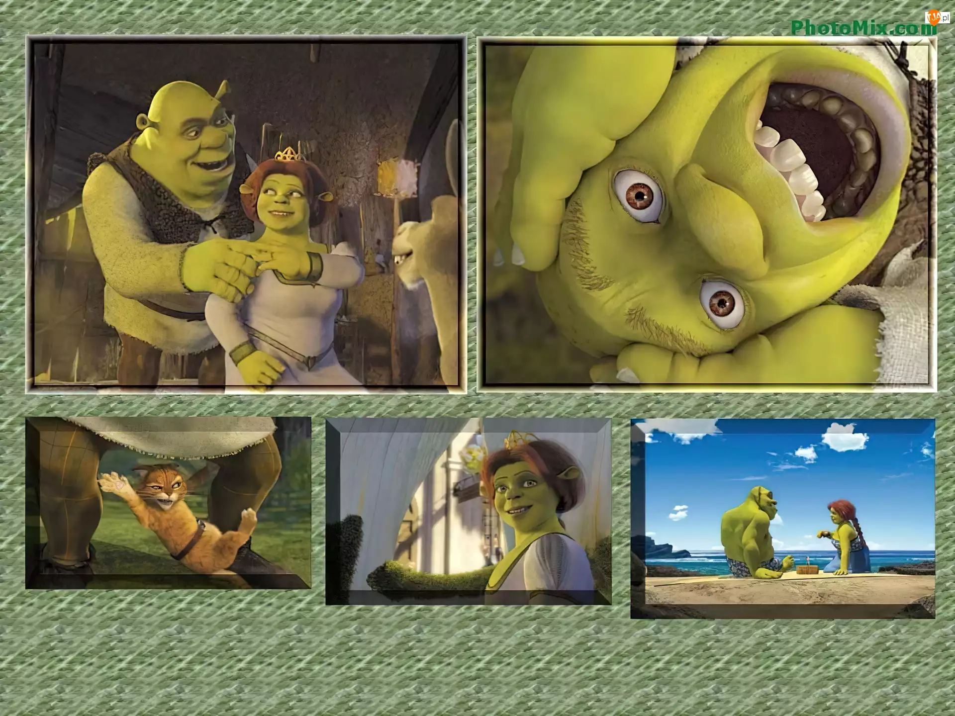 Shrek 2, zdjęcia