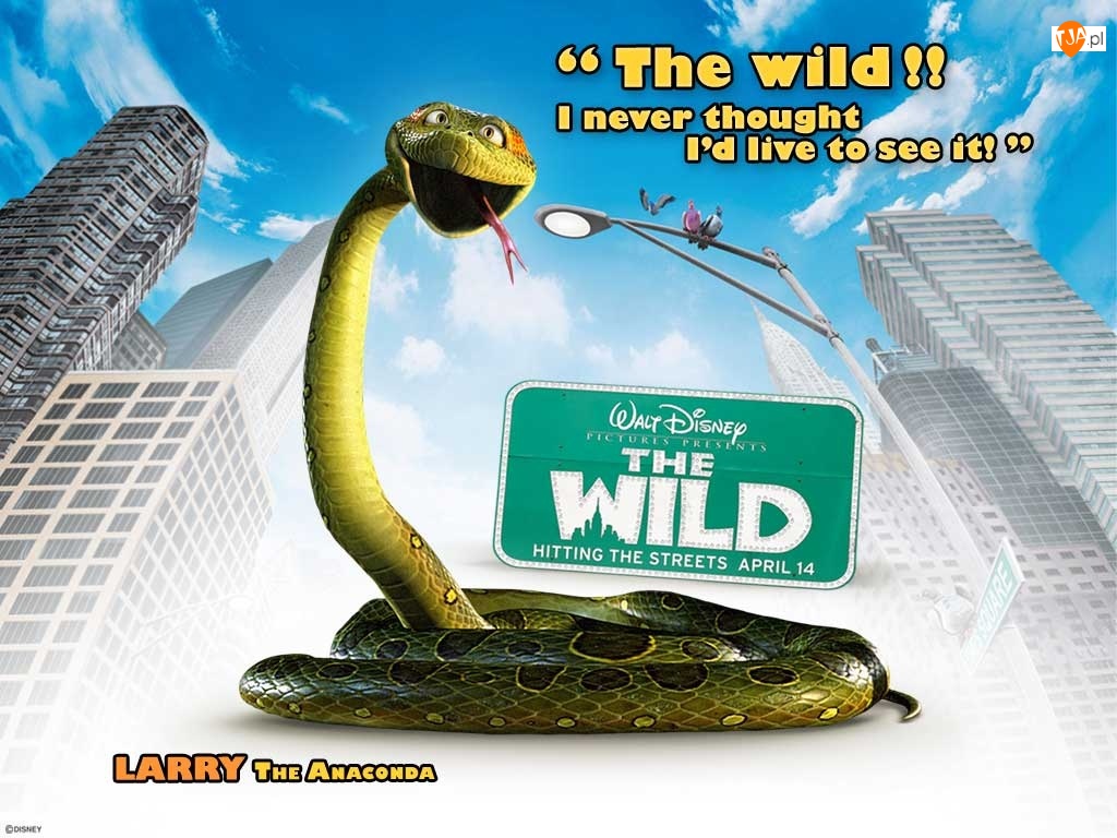 The Wild, Larry, wąż, Dżungla