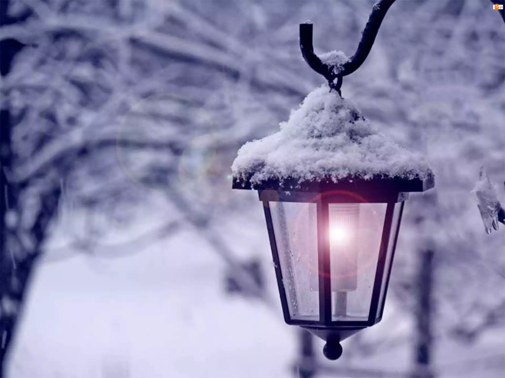 Śnieg, Lampa, Zima