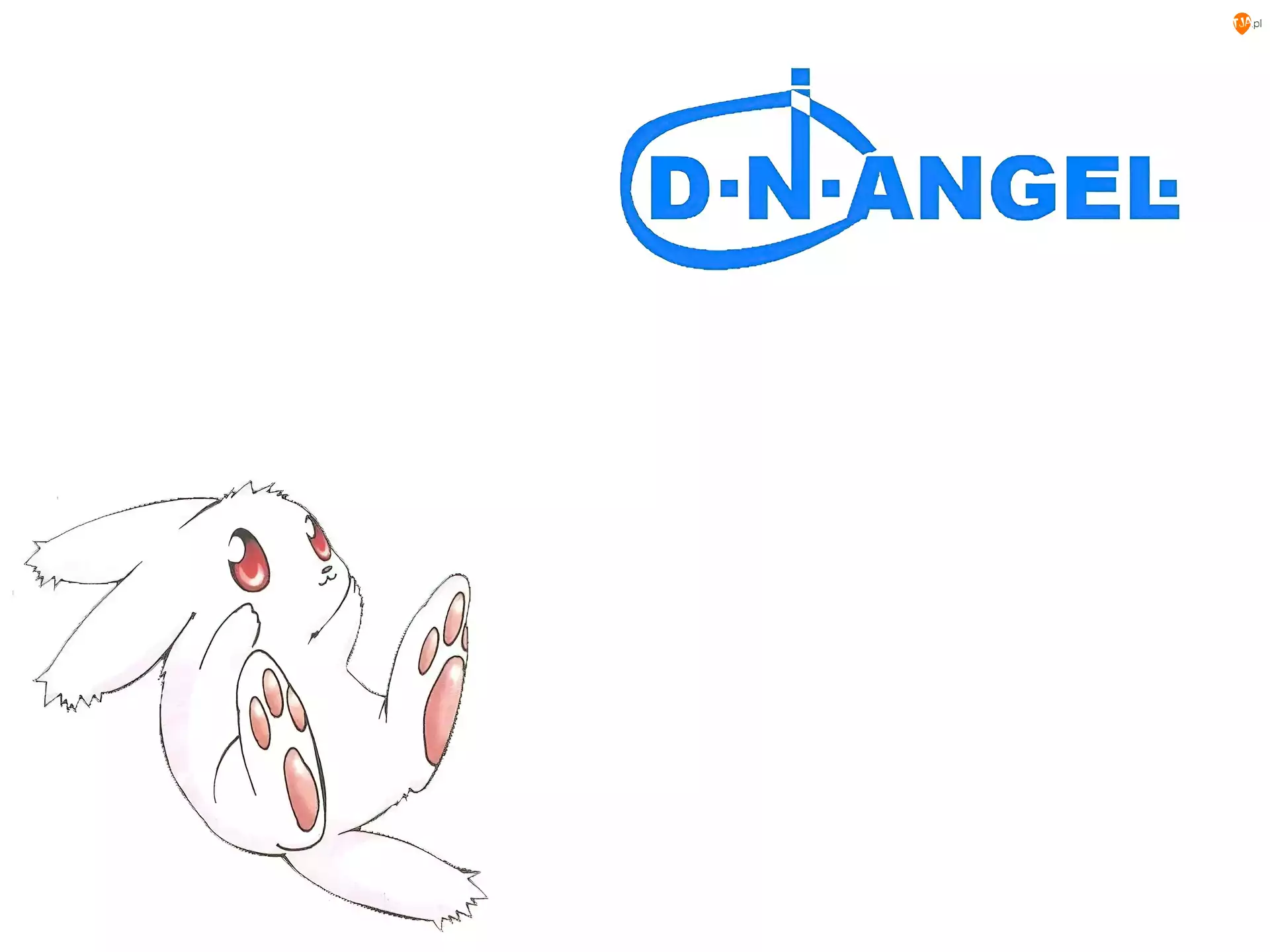 królik, D N Angel, napis