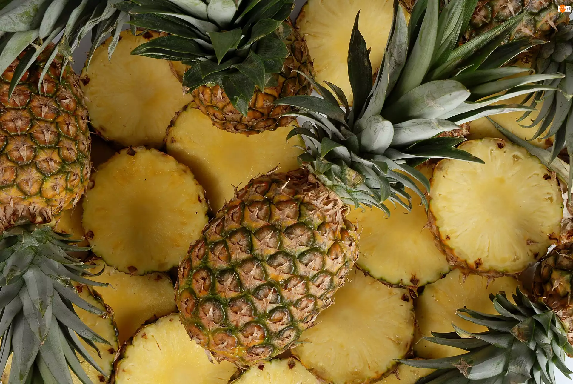 Ananasa, Plastry