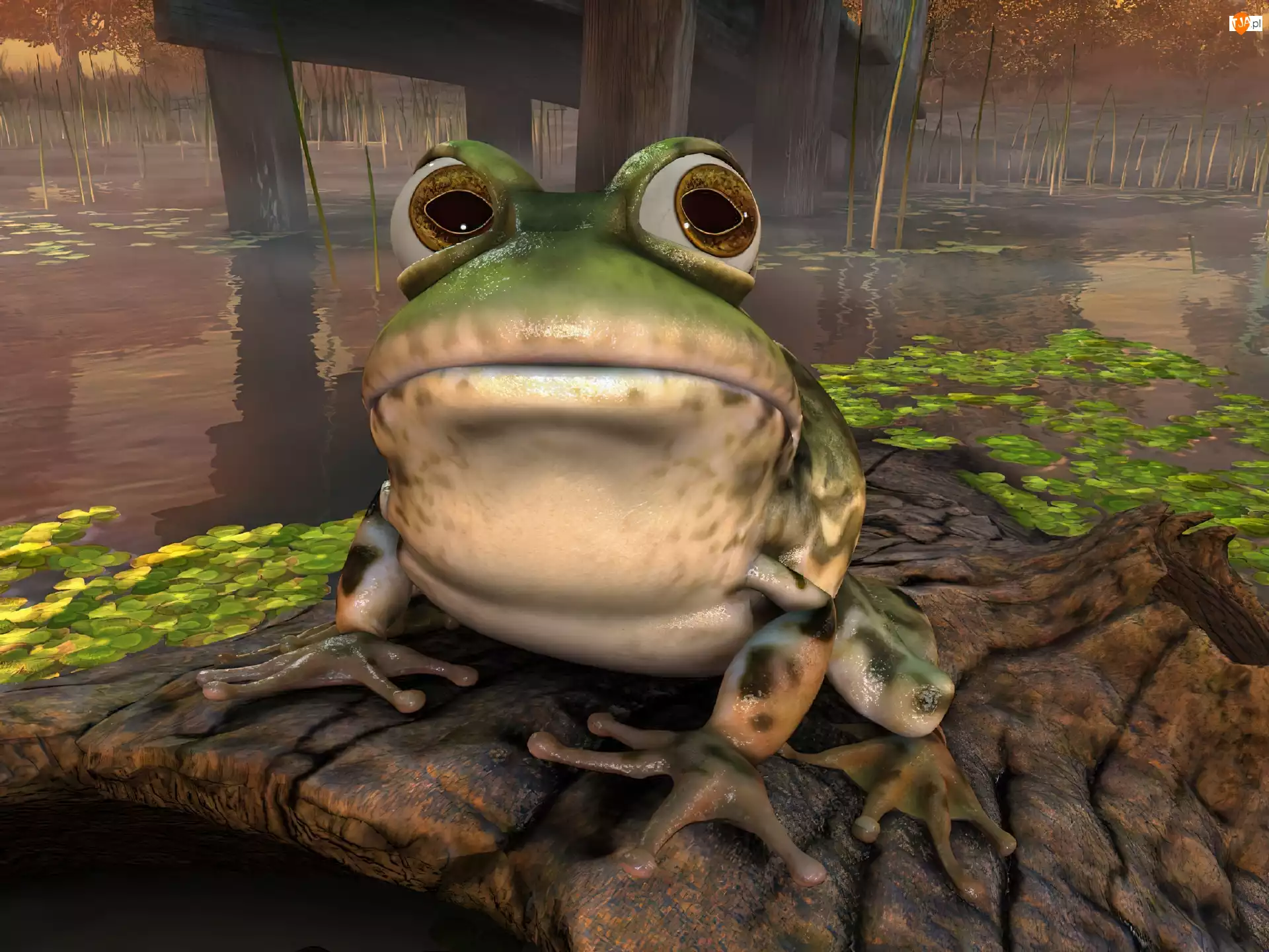 żaba, Nvidia
