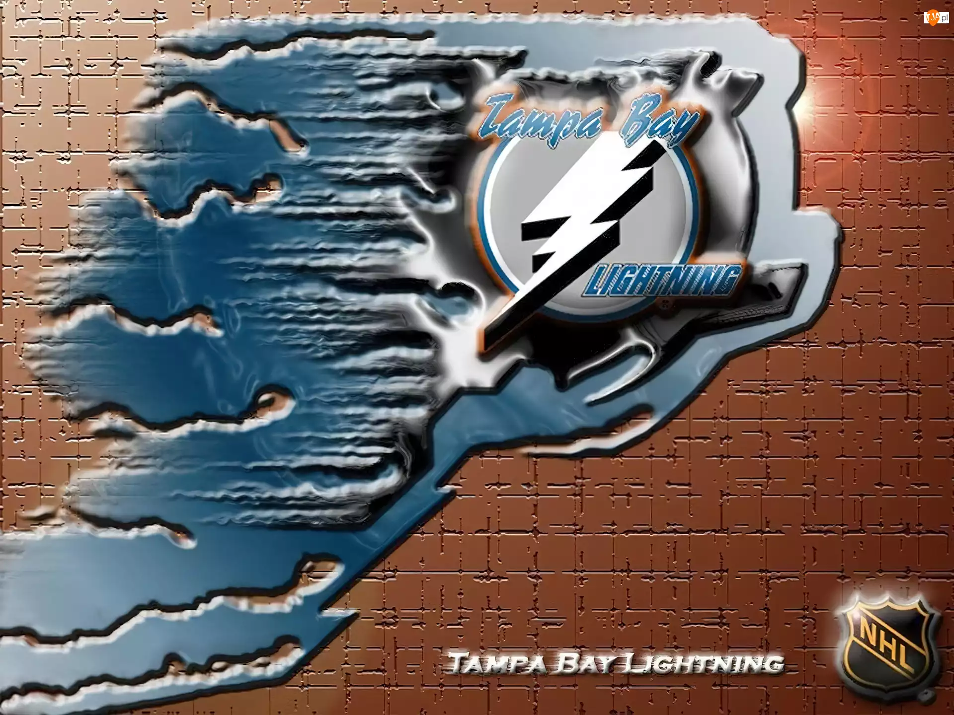 Tampa Bay Lightning, Logo, Drużyny, NHL