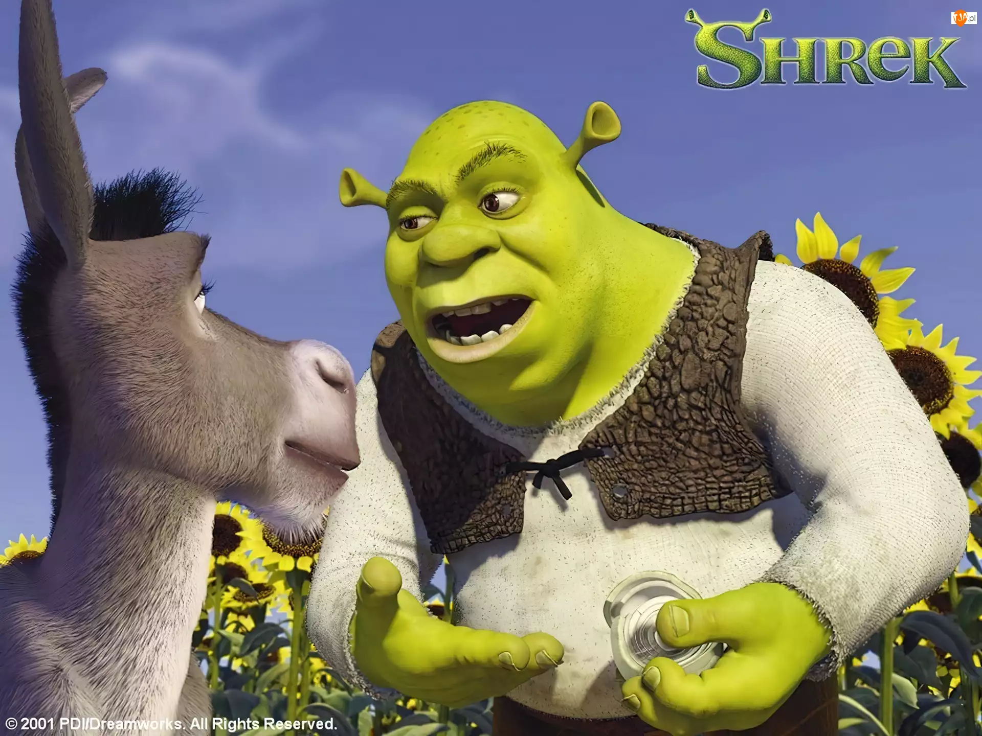 Shrek, Shrek 1, osioł