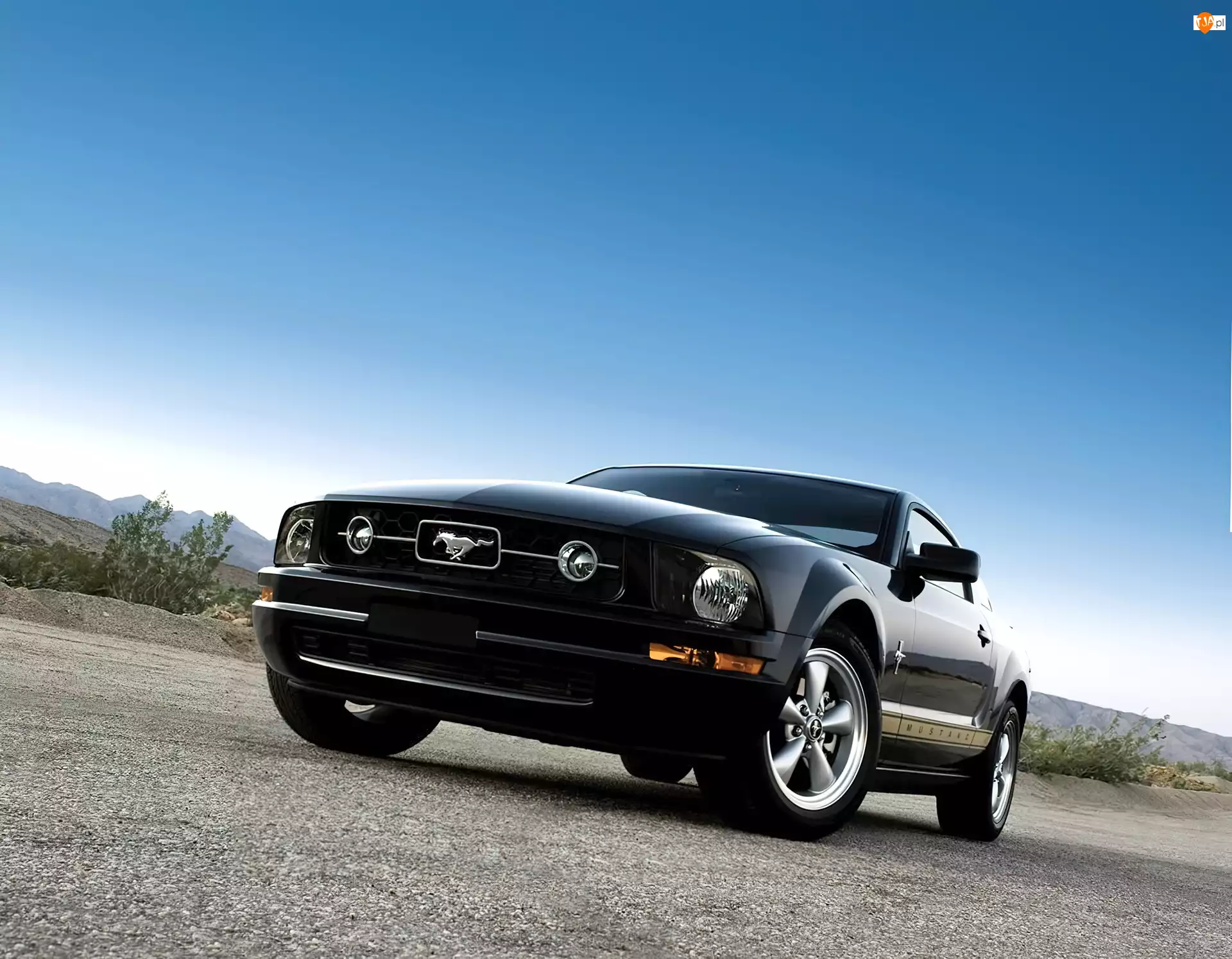 Package, Ford Mustang V6, Pony