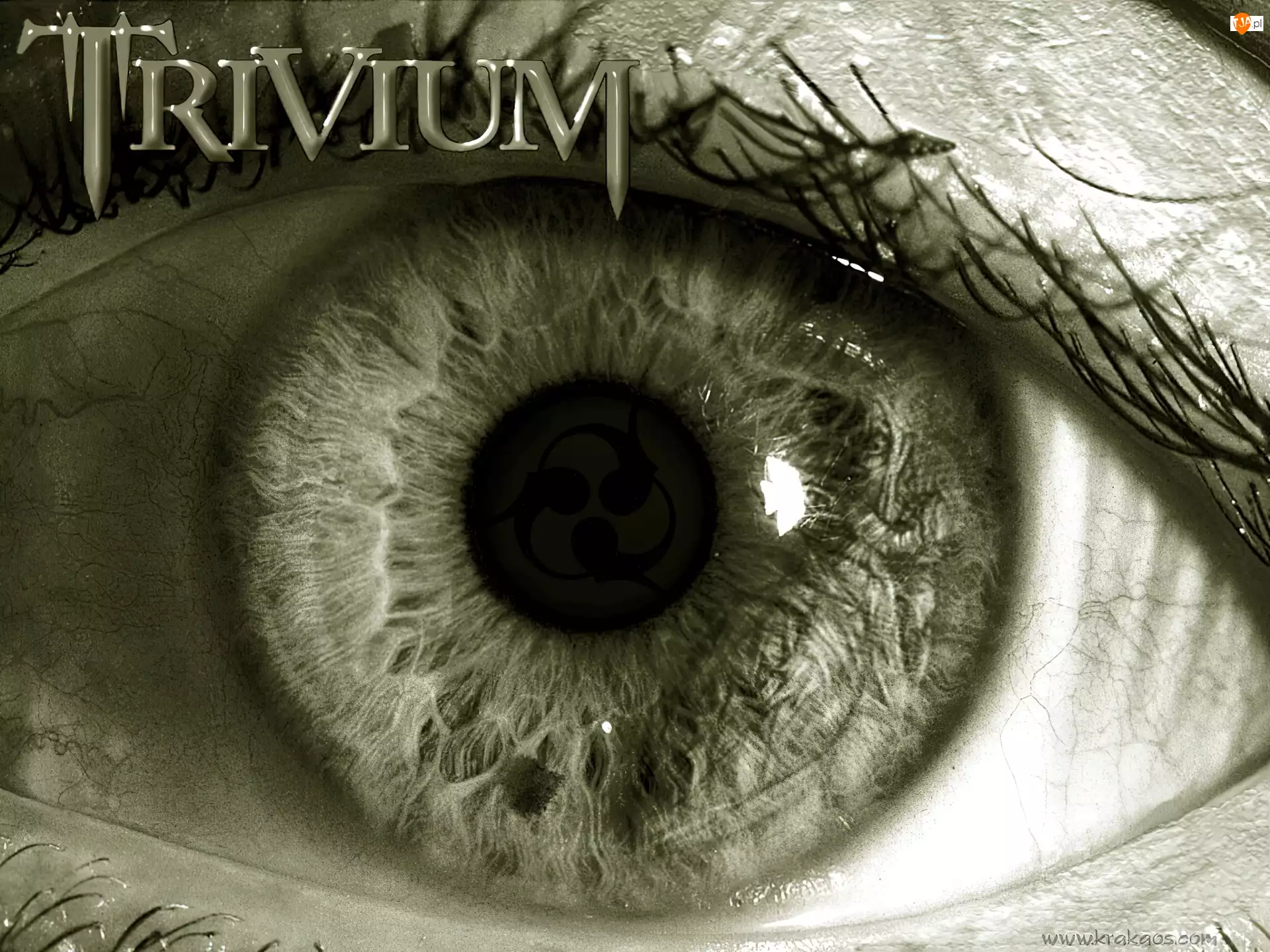 oko, Trivium