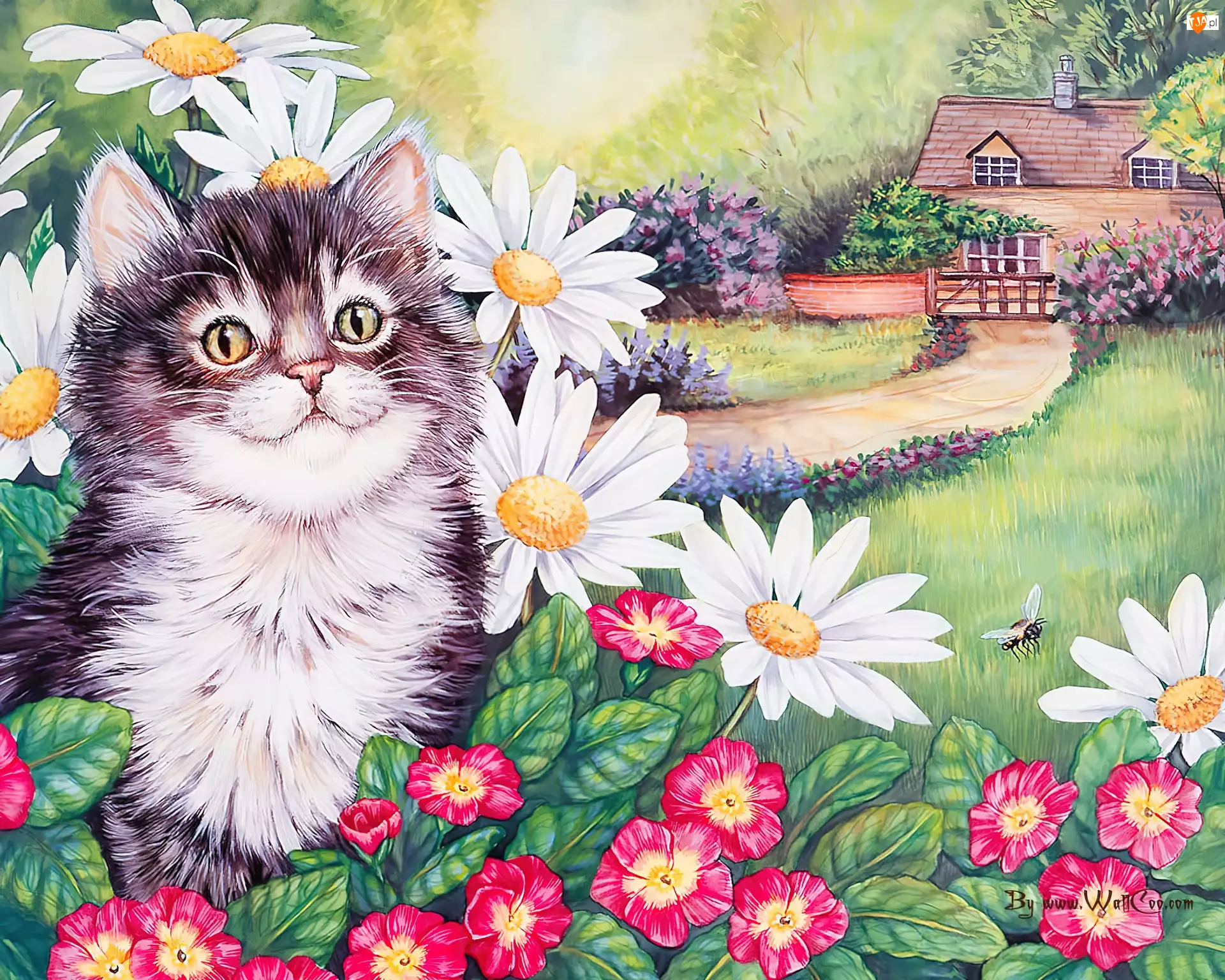 Rysunek, Kot, Kwiaty, Dom
