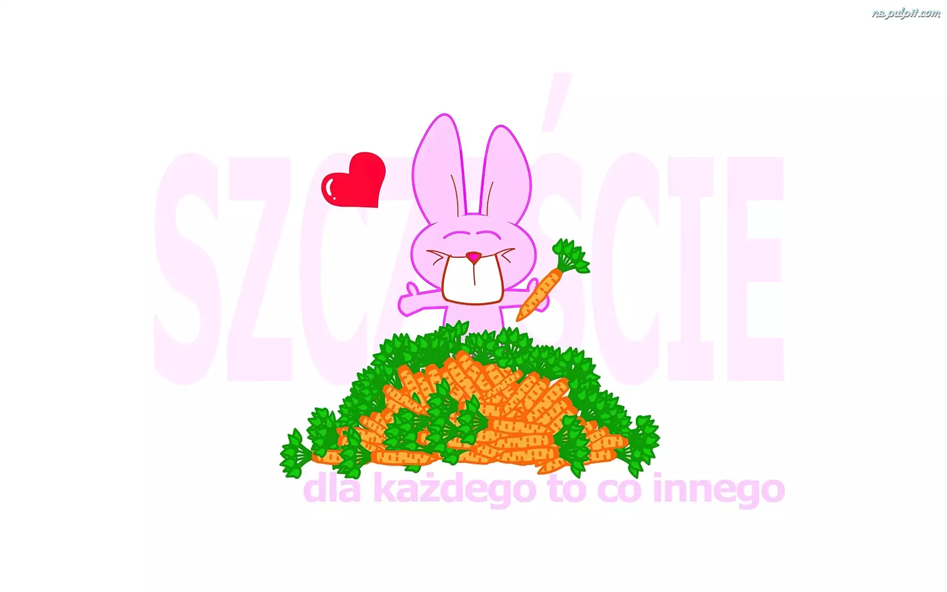 szczęście, Różowy, marchewki, królik, napis