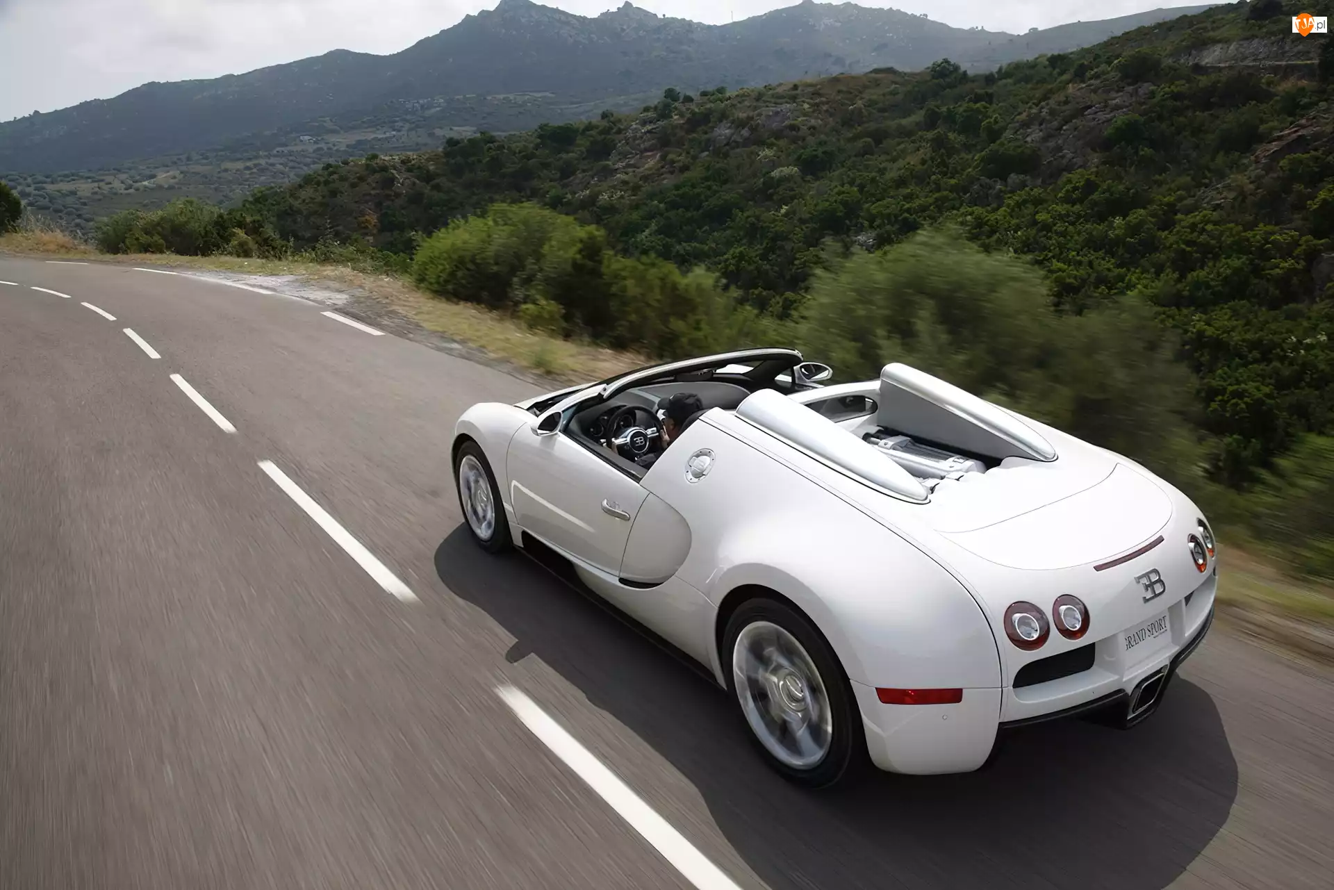 Cabrio, Biały, Bugatti Veyron
