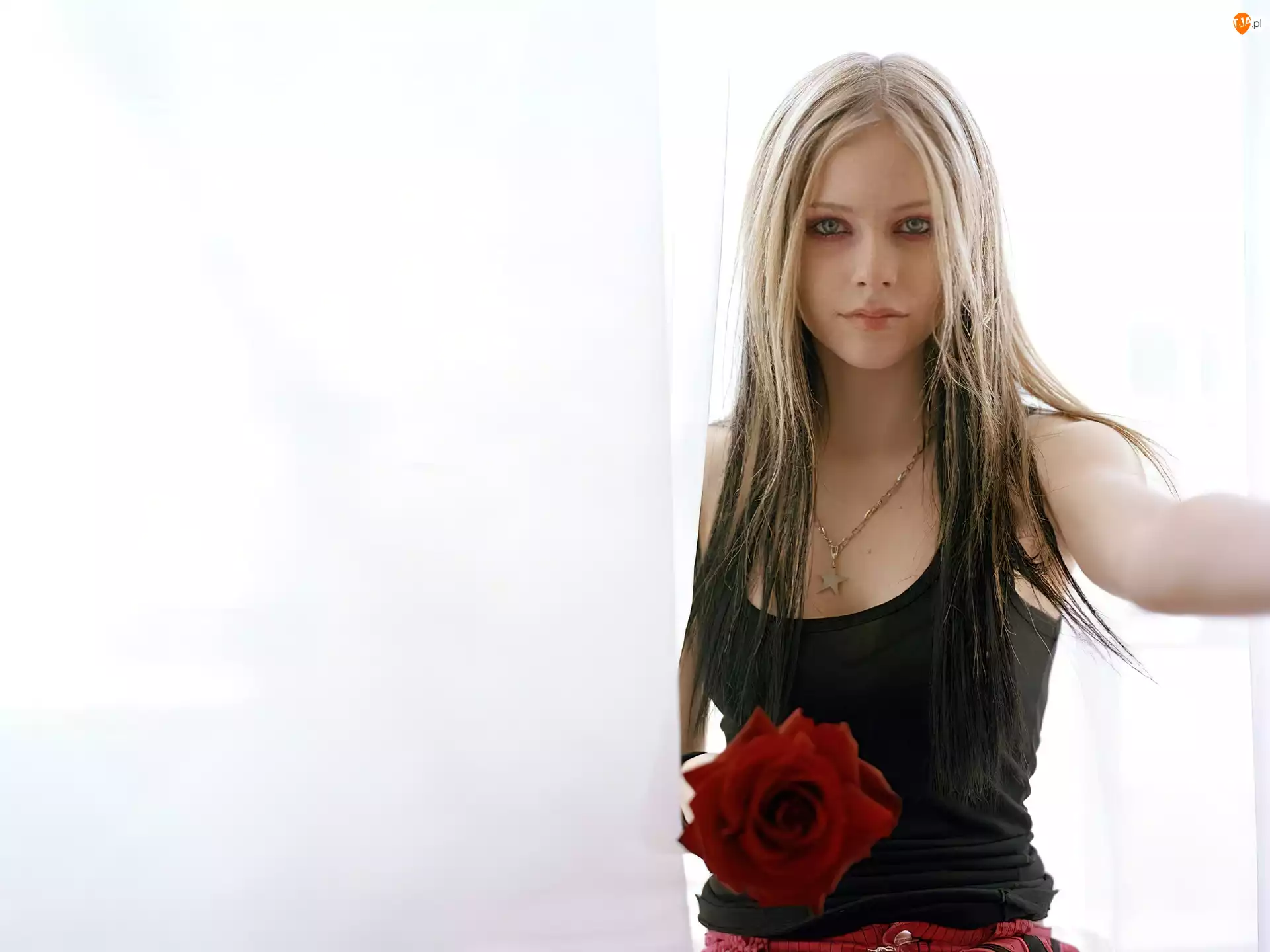 Czerwona Róża, Avril Lavigne
