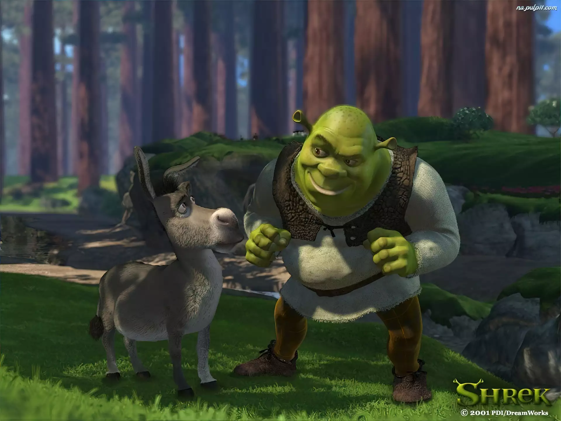 Shrek 1, osioł, las, Shrek