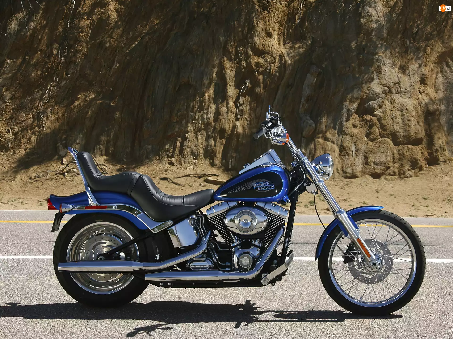 Harley Davidson Softail Custom 
, Chopper