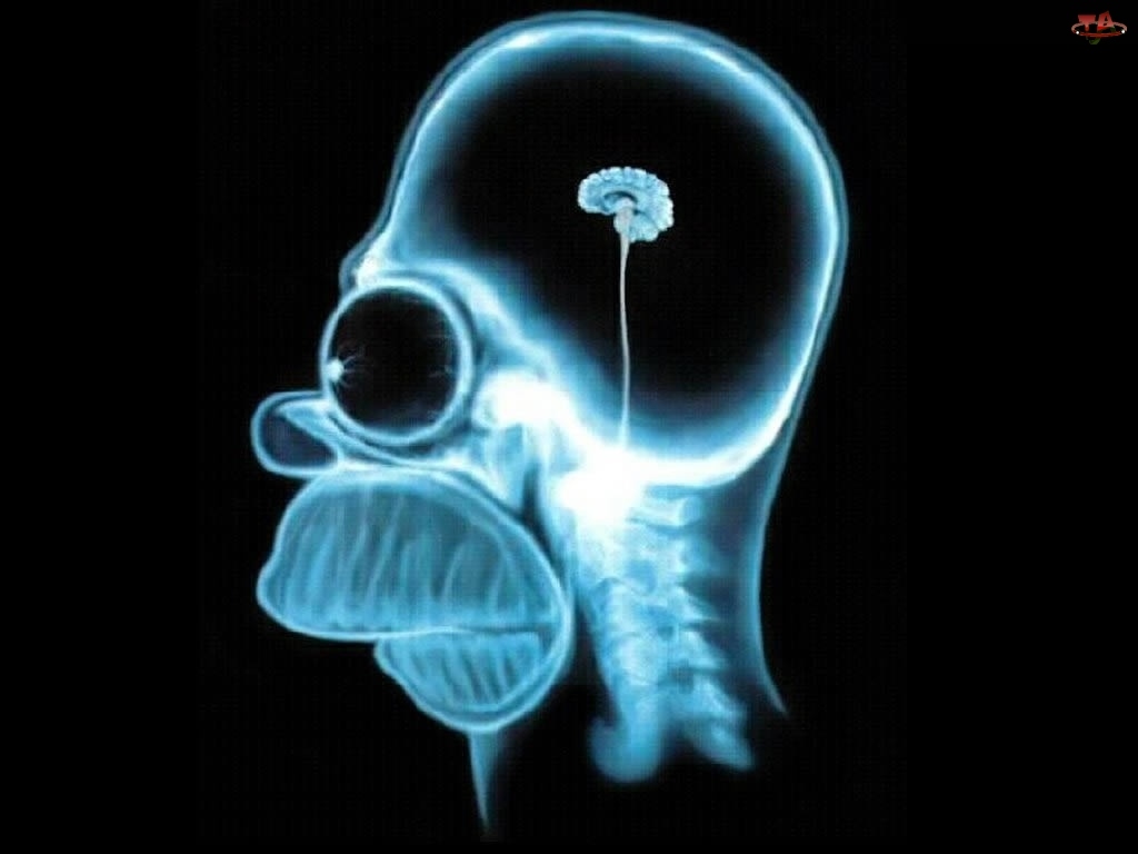 Mózg, Simpson, Mały