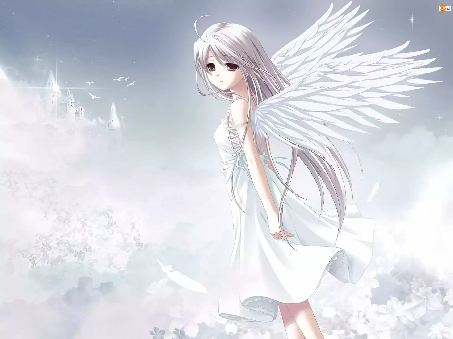 White Clarity, niebo, dziewczynka, skrzydła