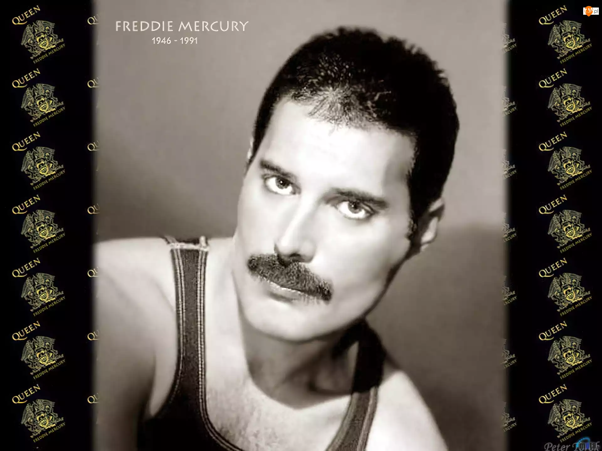 1946-1991, Freddie Mercury
