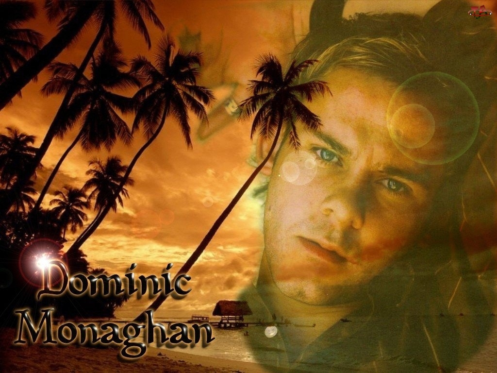 plaża, Dominic Monaghan, palmy