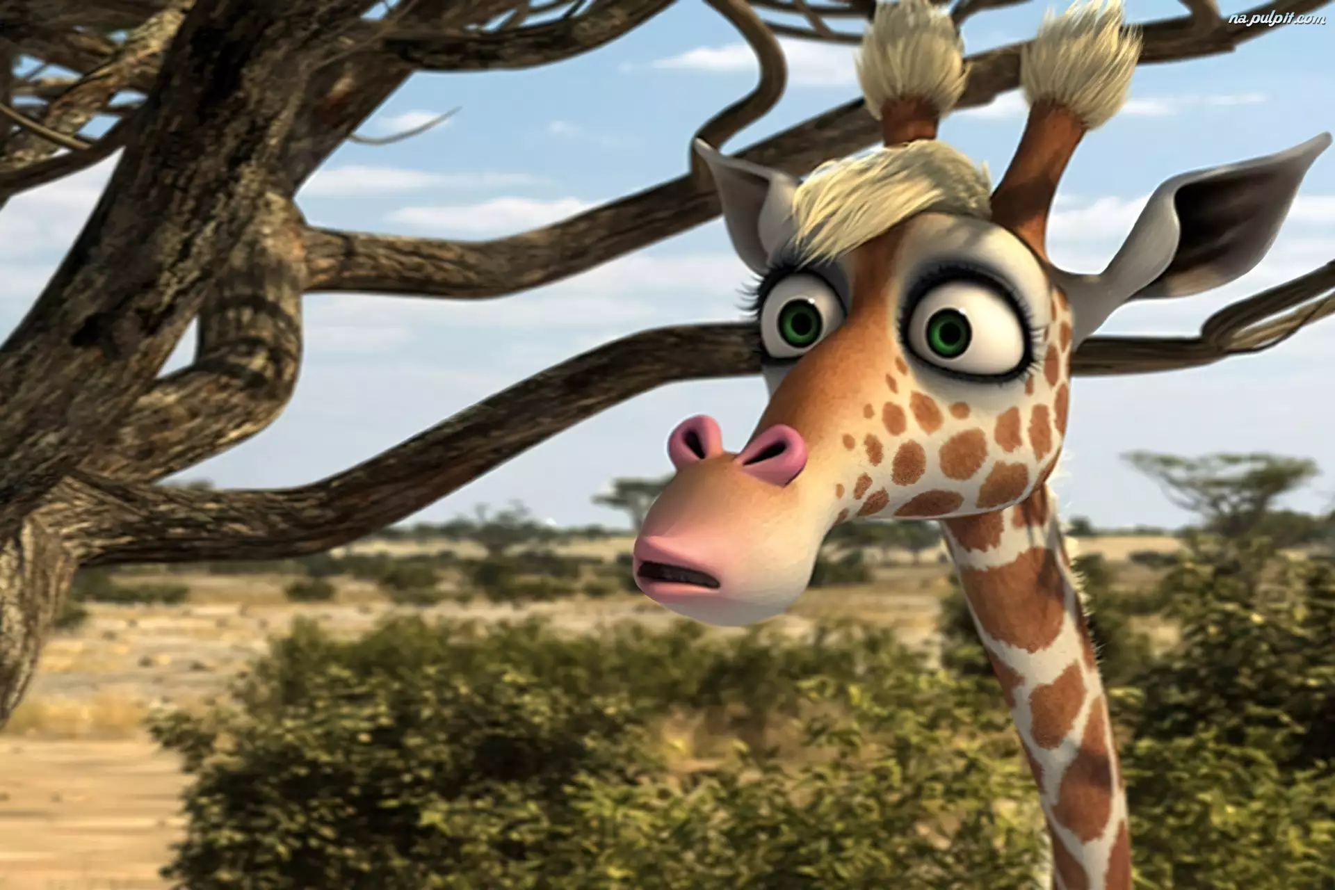 Żizel, Safari 3D, Żyrafa