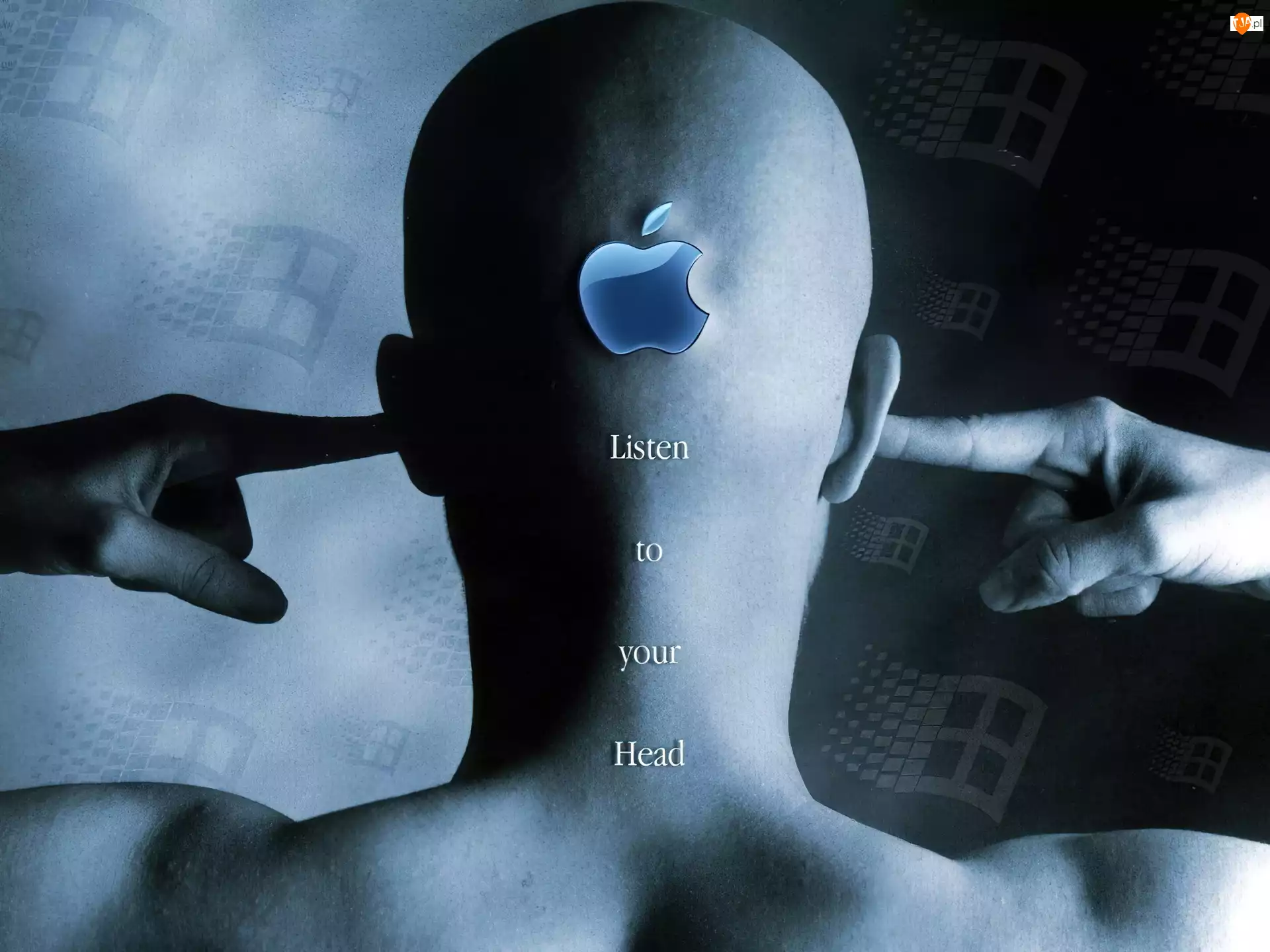 Apple, Głowa, Uszy
