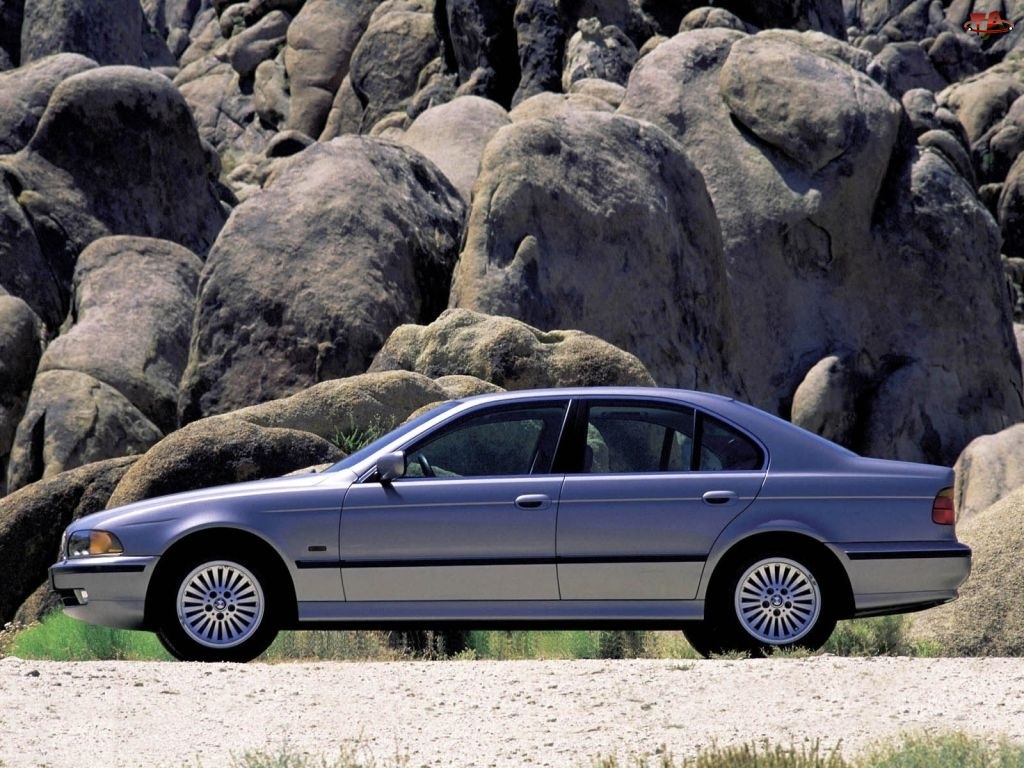 Lewy Profil, BMW 5, E39