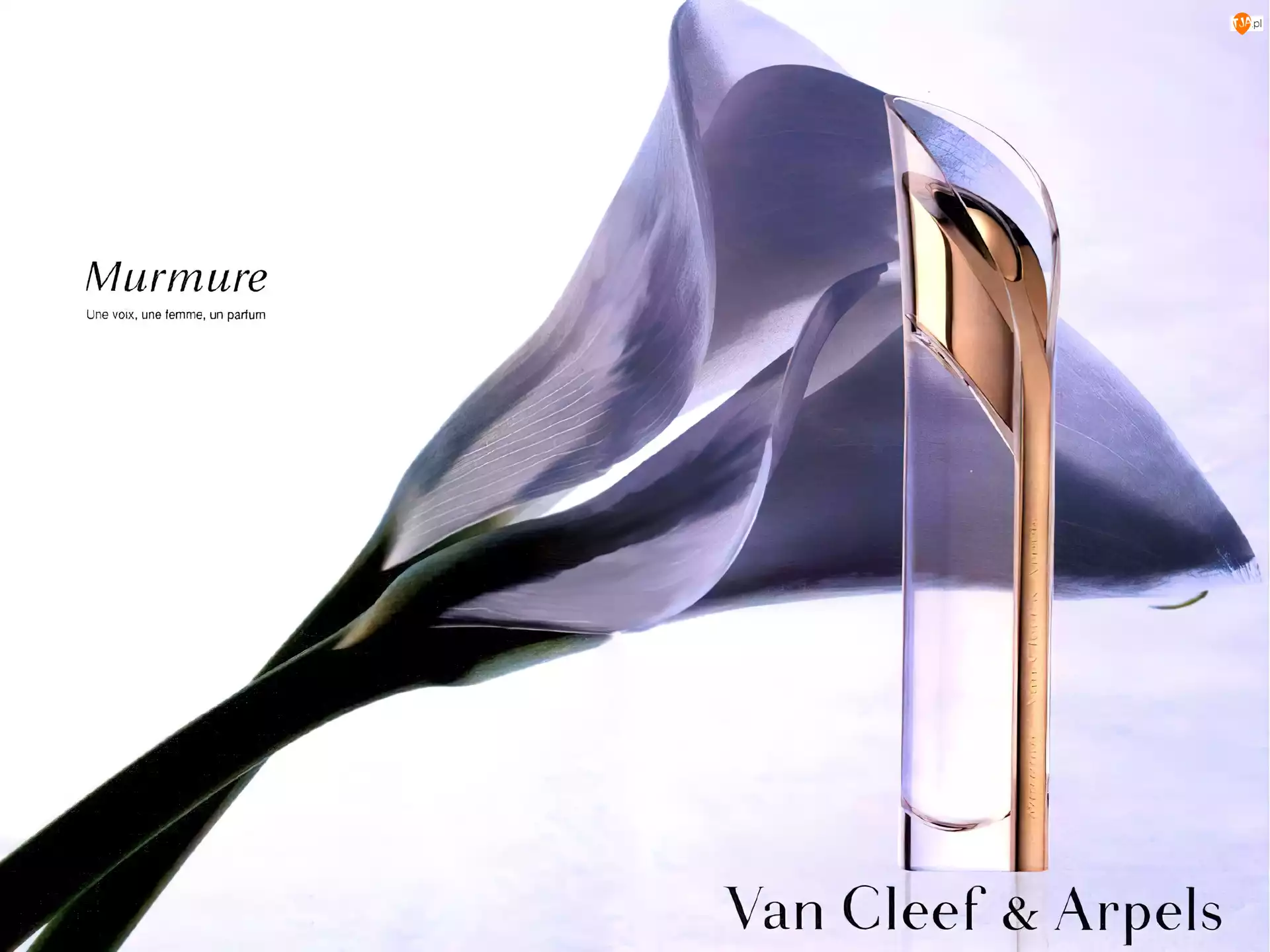 Van Cleef & Arpels, Perfumy, Damskie, Murmure