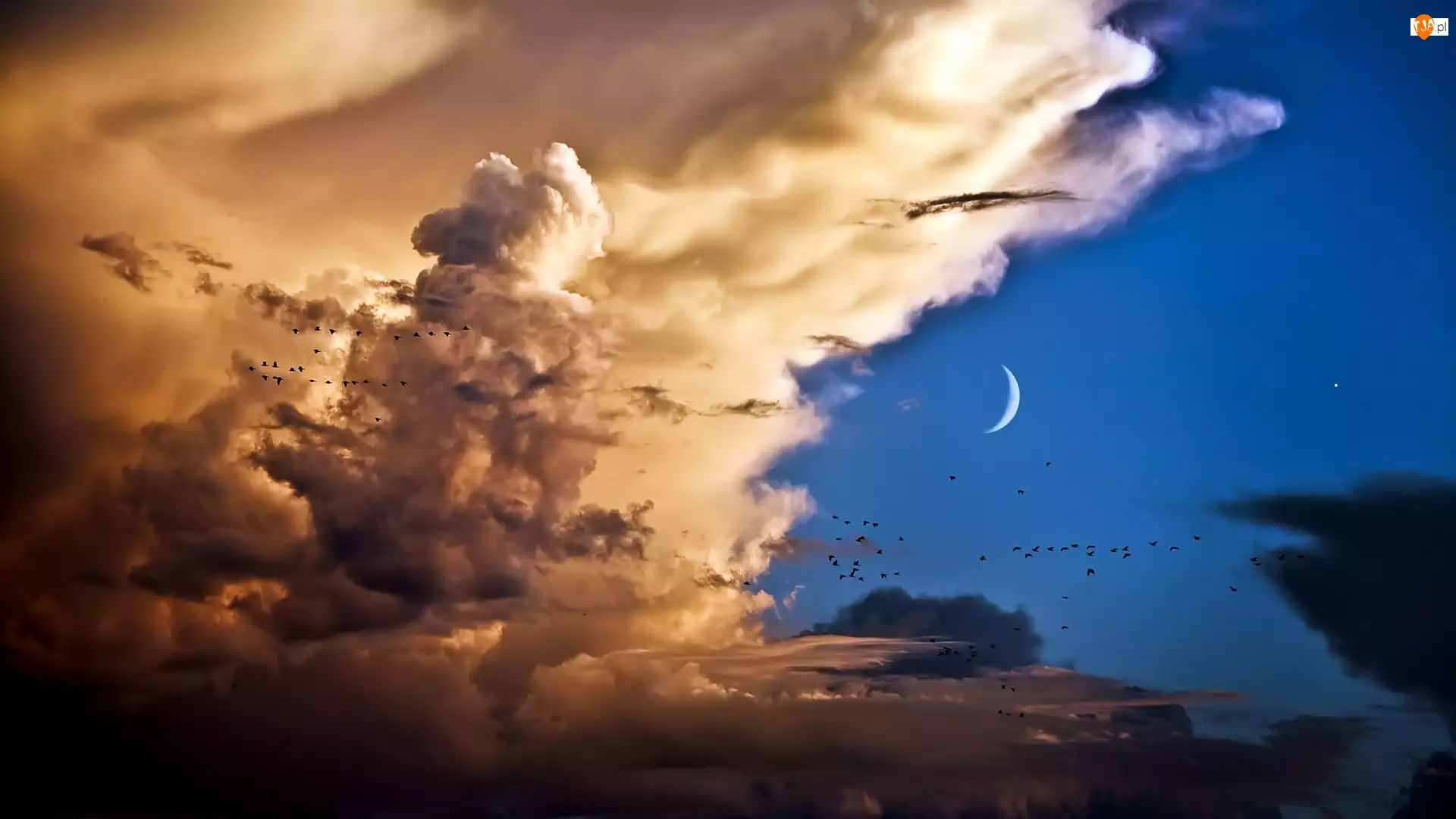 Ptaki, Chmury, Księżyc