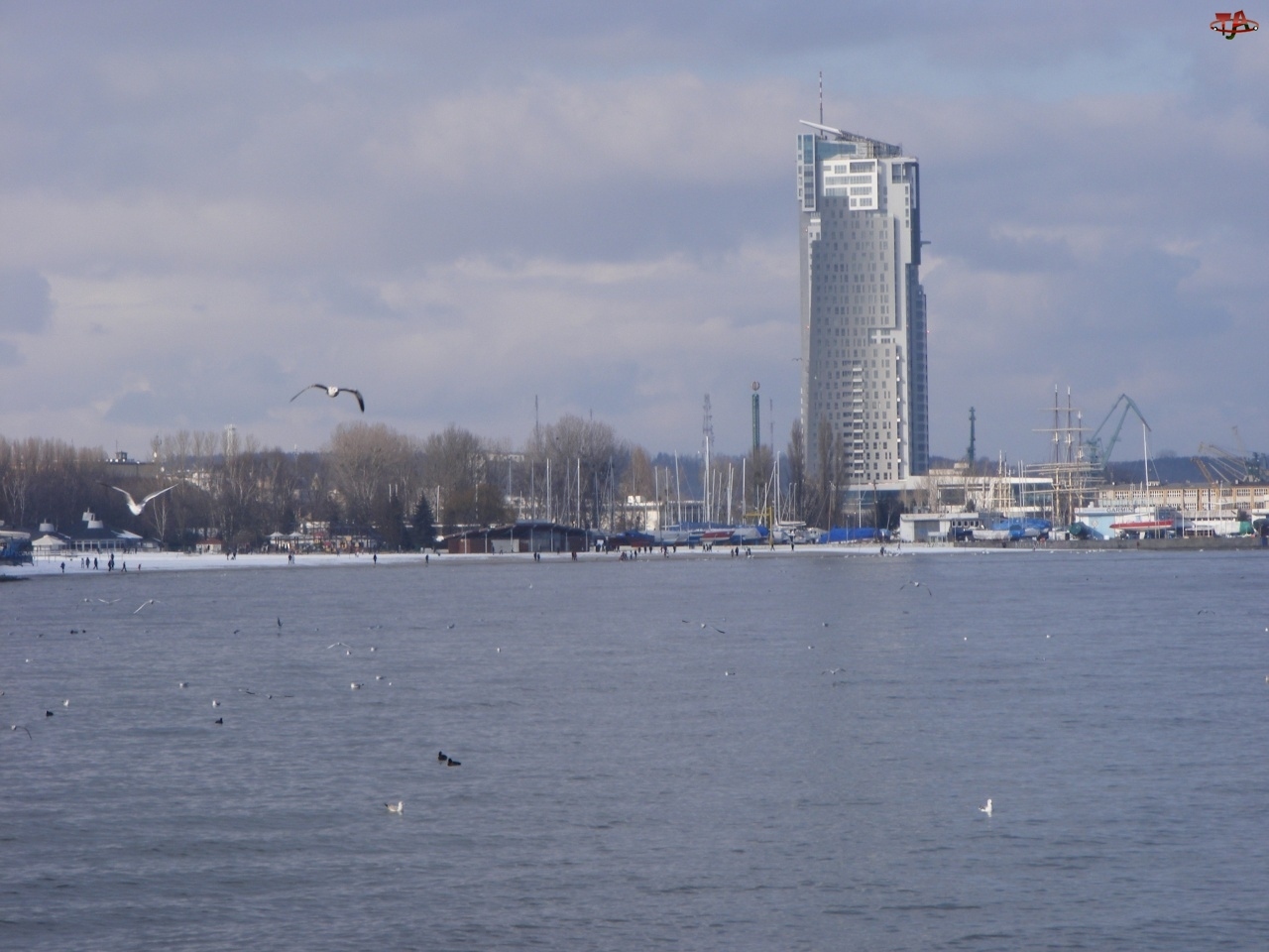 See Tower, Gdynia