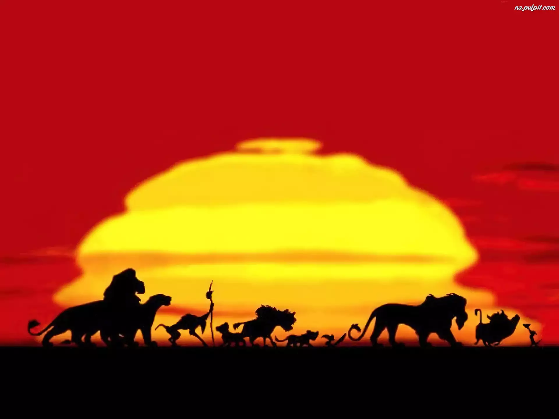 Zachód słońca, Król Lew, The Lion King, Zwierzęta