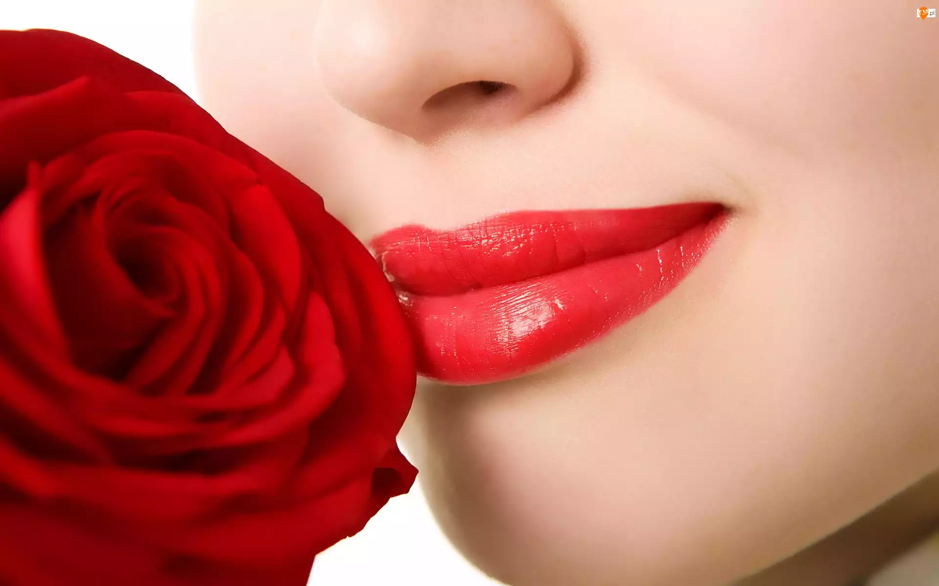 Kobieta, Usta, Róża, Czerwona, Czerwone