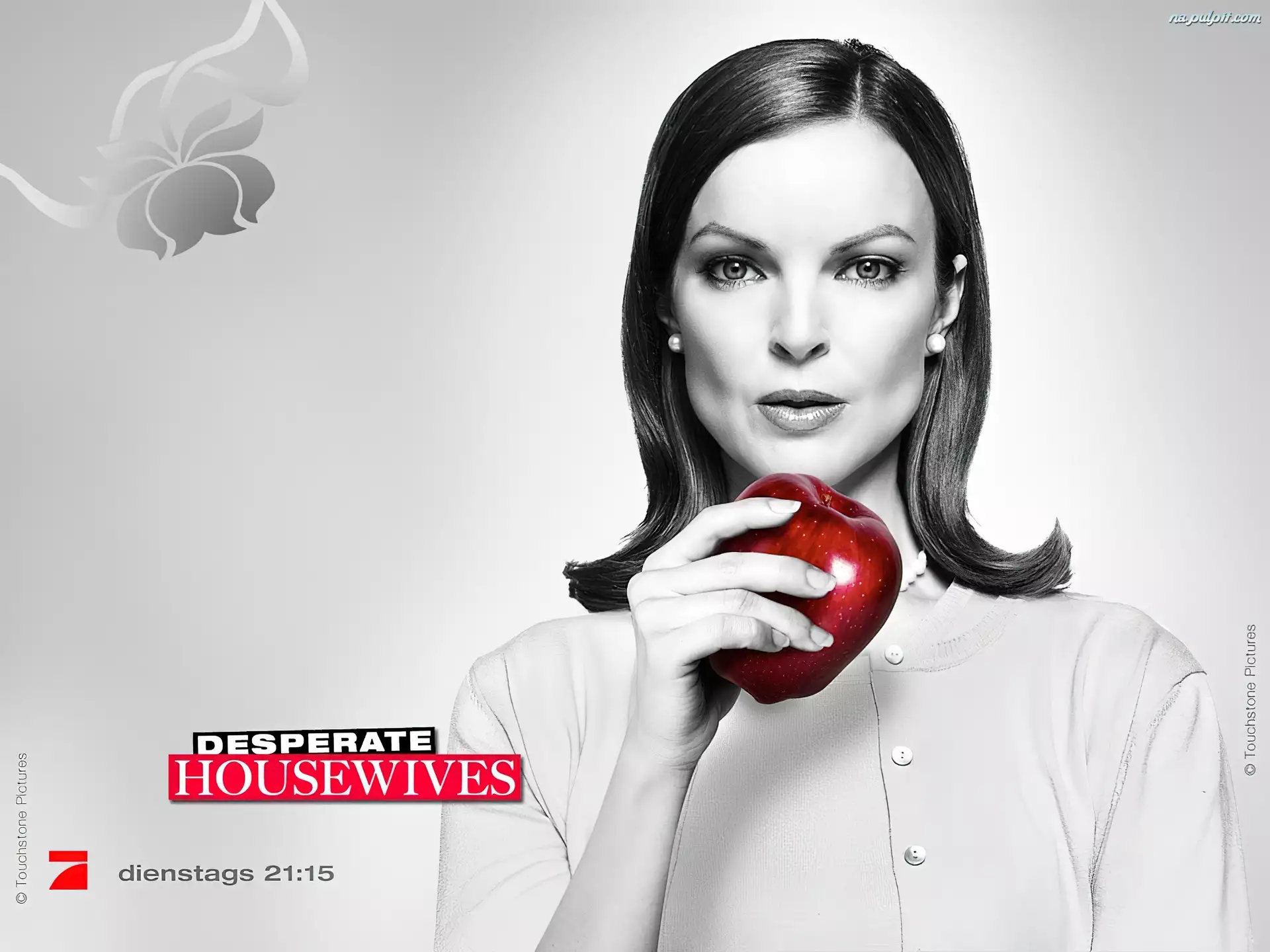 Marcia Cross, Desperate Housewives