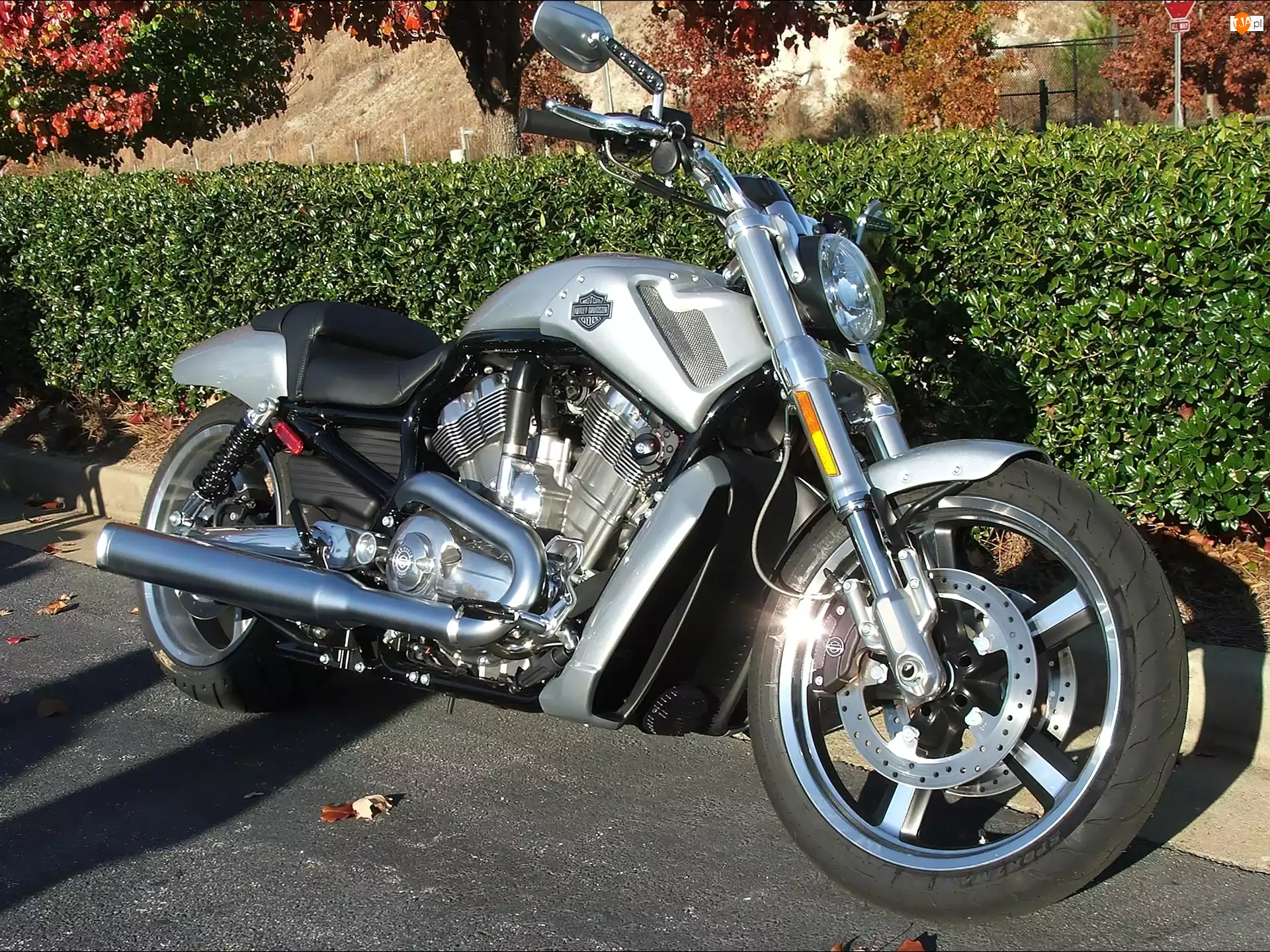 Dodatki, Harley Davidson V-Rod Muscle, Akcesoryjne