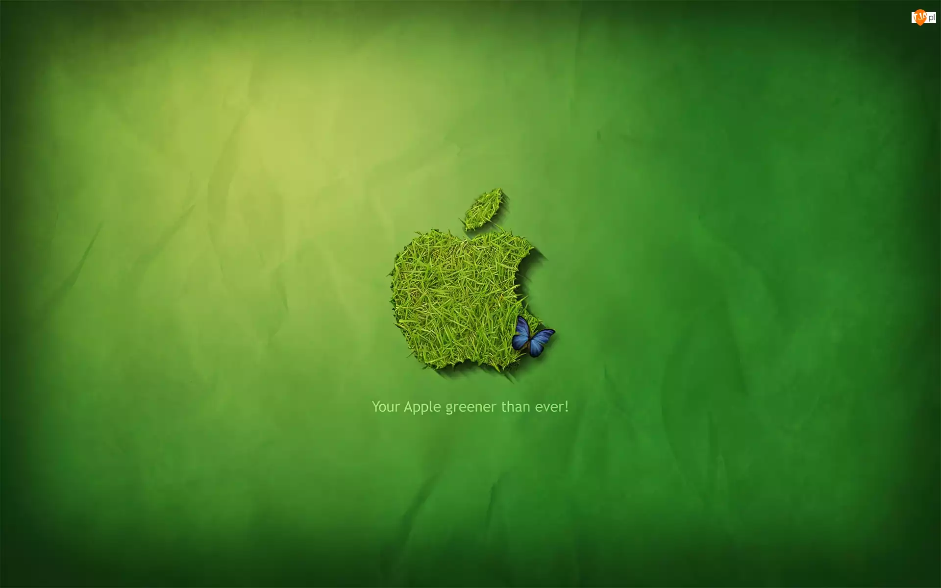 Apple, Ekologiczne, Logo