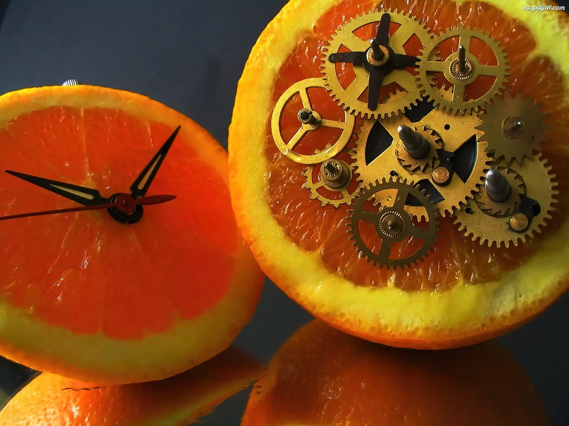 Zegarka, Pomarańcze, Mechanizm