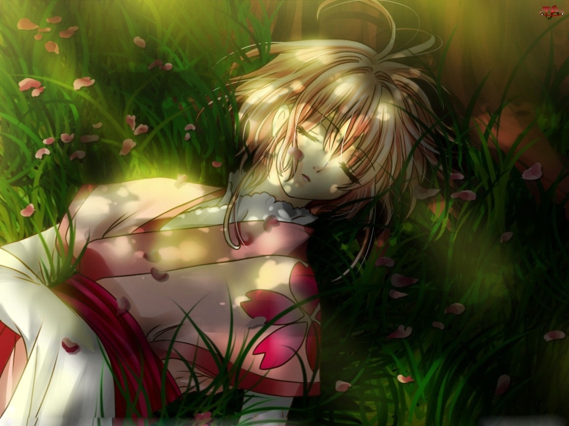 Cień, Śpiąca, Sakura