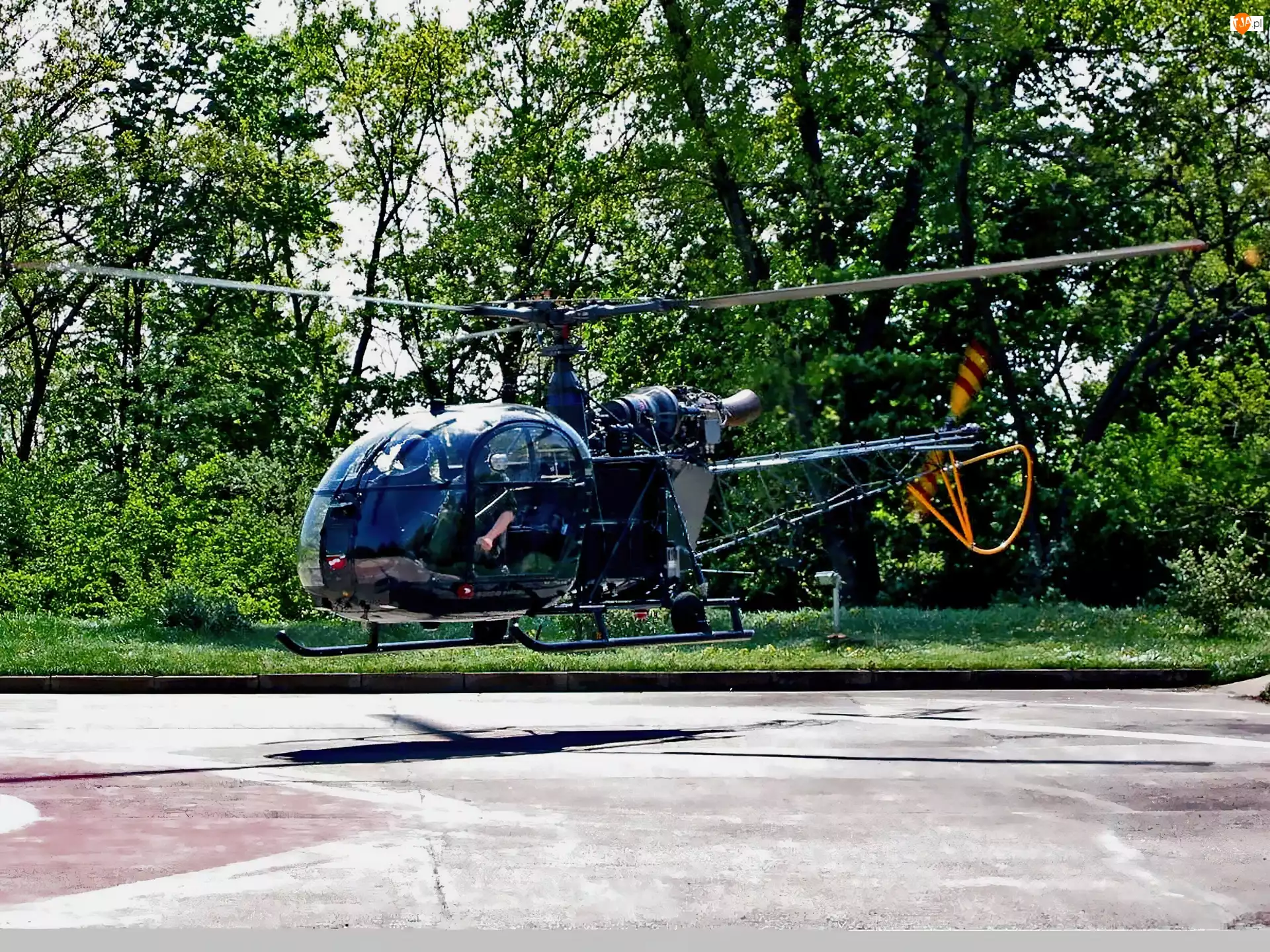 Alouette II, Brazos, Helicopters, AS-313