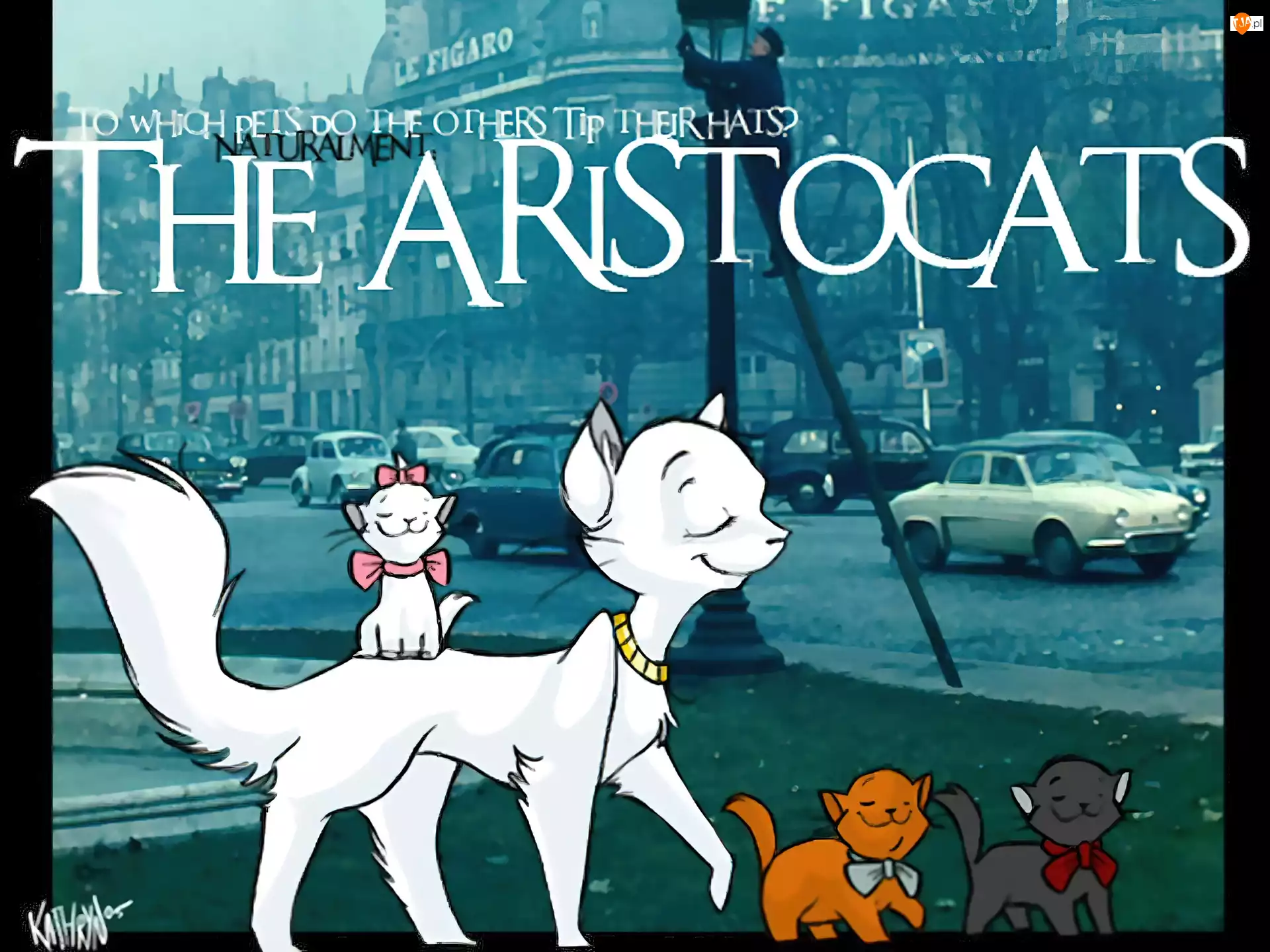 The Aristocats, miasto, Aryskotraci, Film animowany, koty
