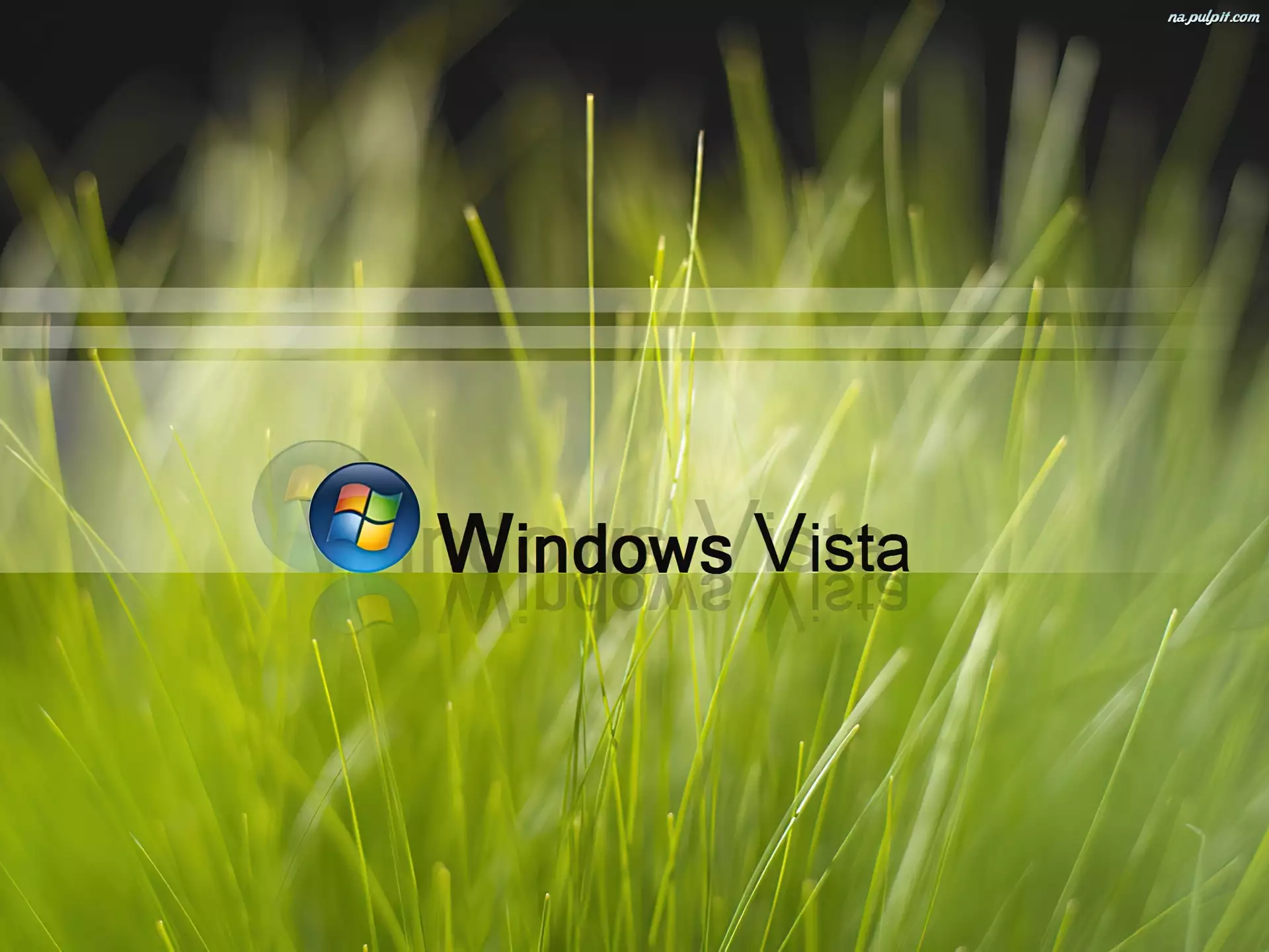 Vista, Trawa, Windows, Logo, Zielona