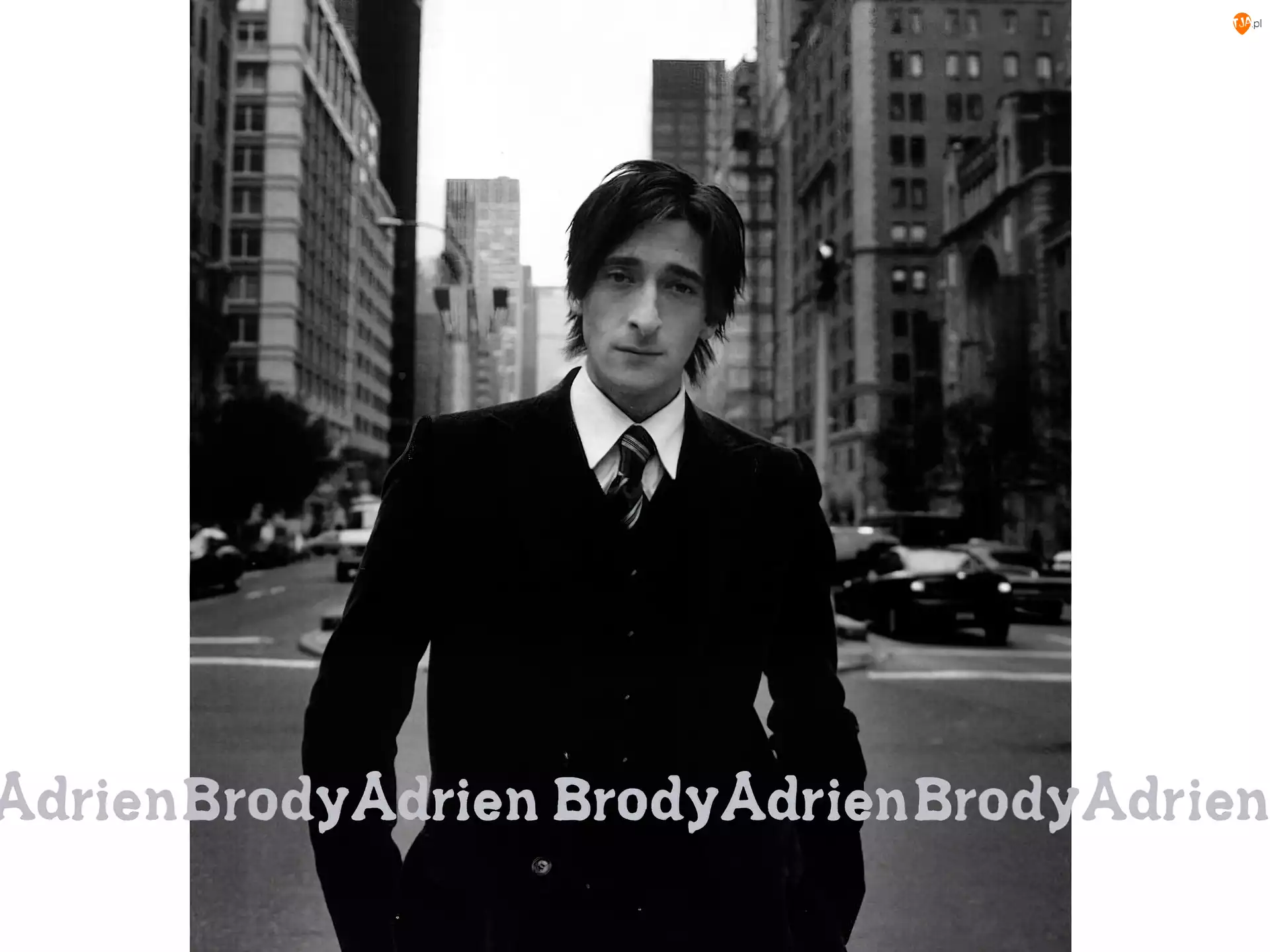 budynki, Adrien Brody, garnitur