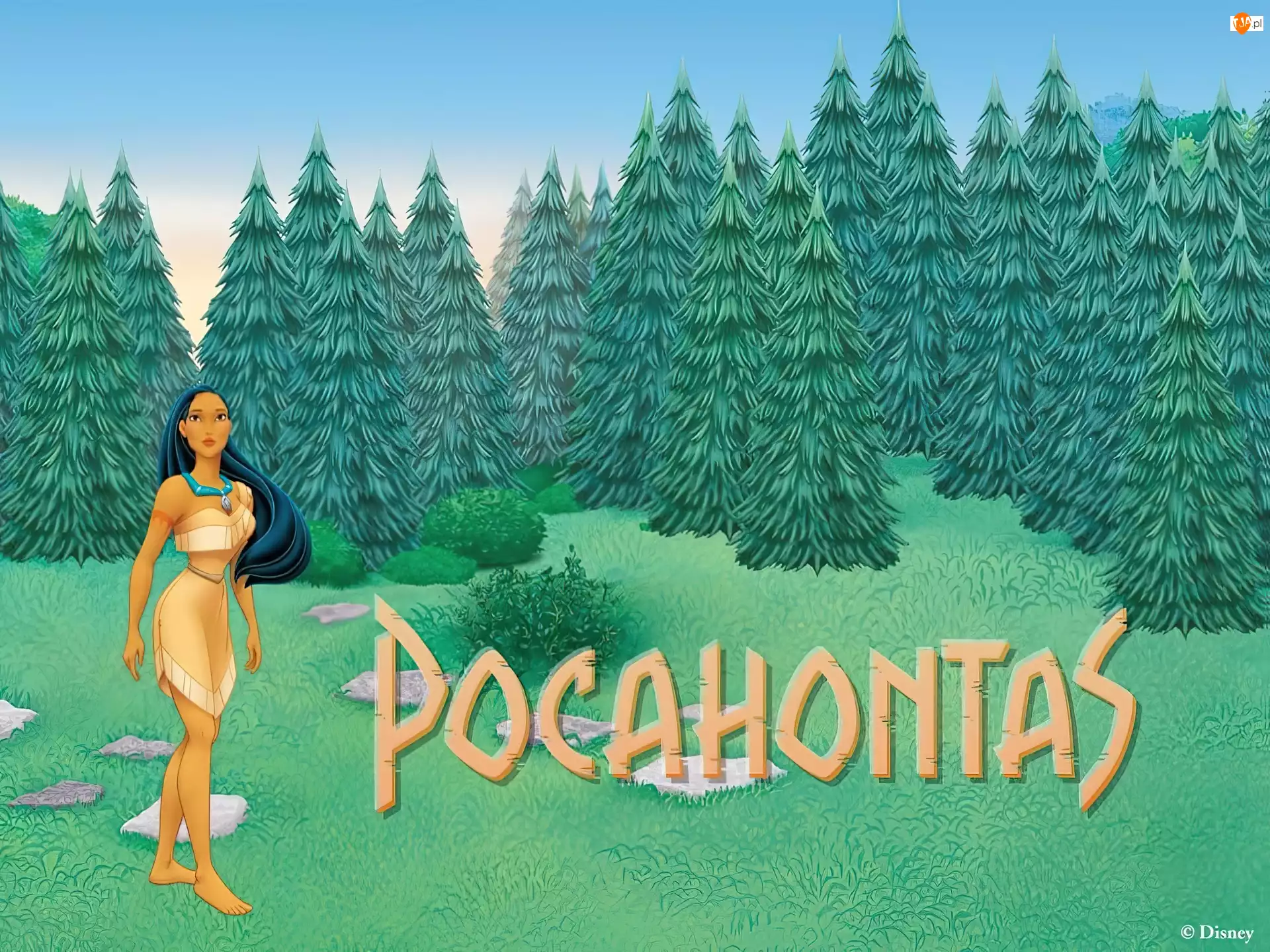choinki, Pocahontas