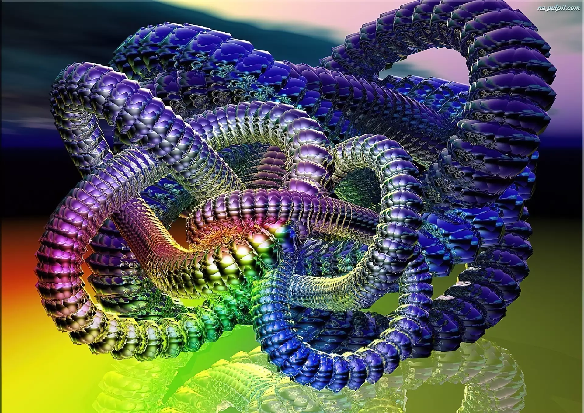 3D, Kolorowy, Wąż