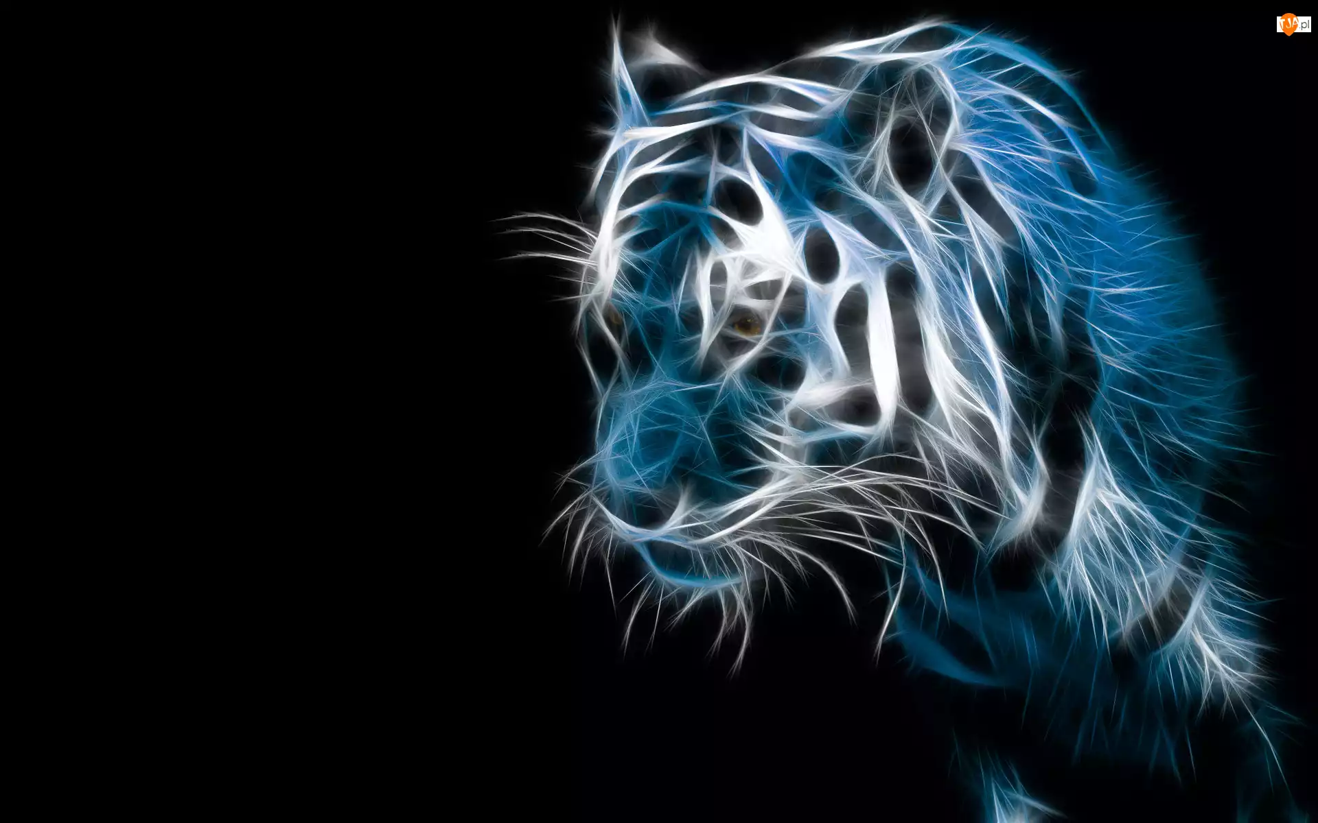 Tygrys, 3D