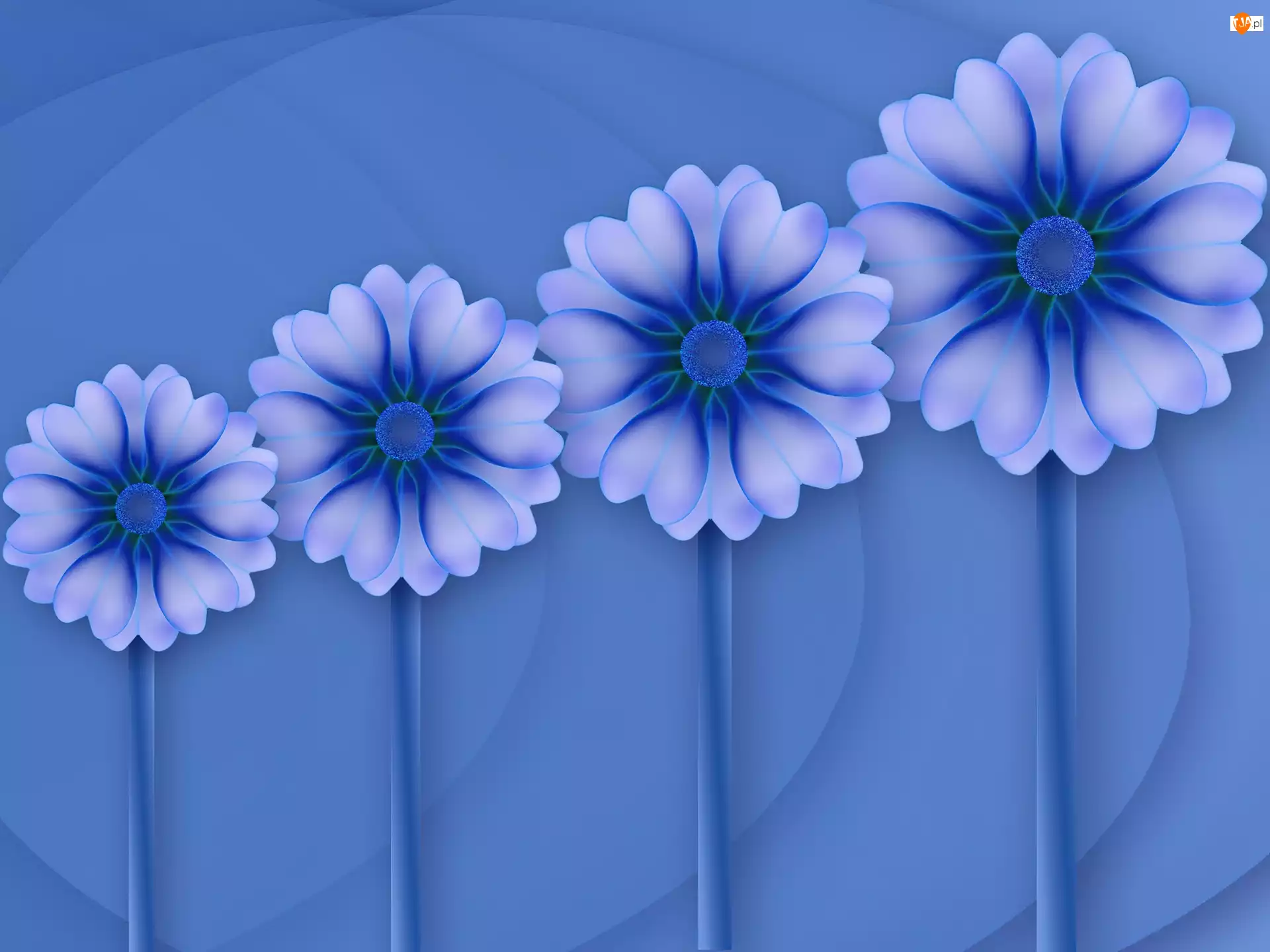 Kwiaty, Cztery, Niebieskie