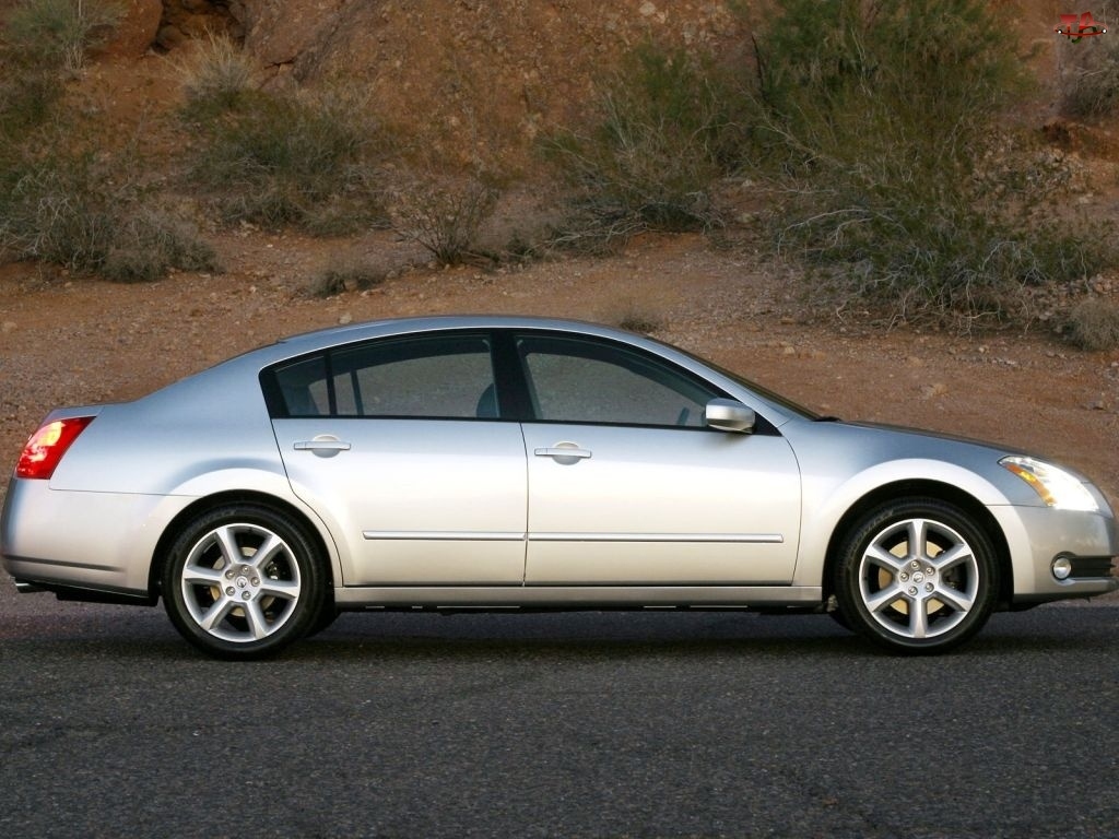 Nissan Maxima, Srebrny