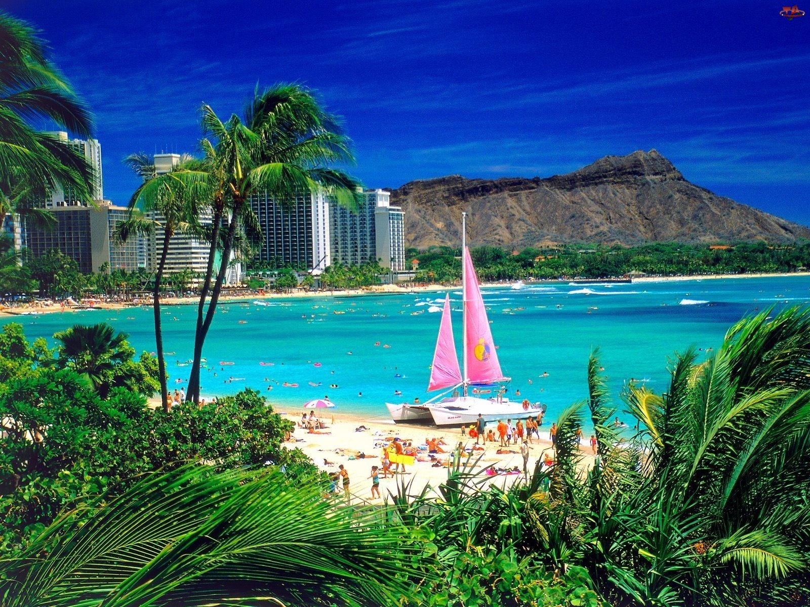 Waikiki, Plaża, Oahu, Katamaran, Wyspa, Hawaje